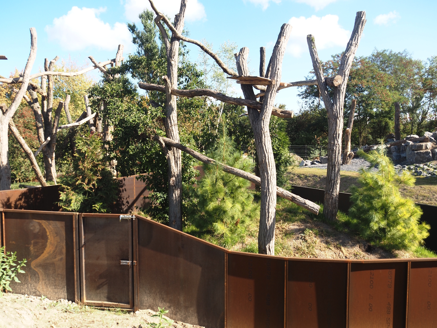 New secondary red panda exhibit, 2025-08-24