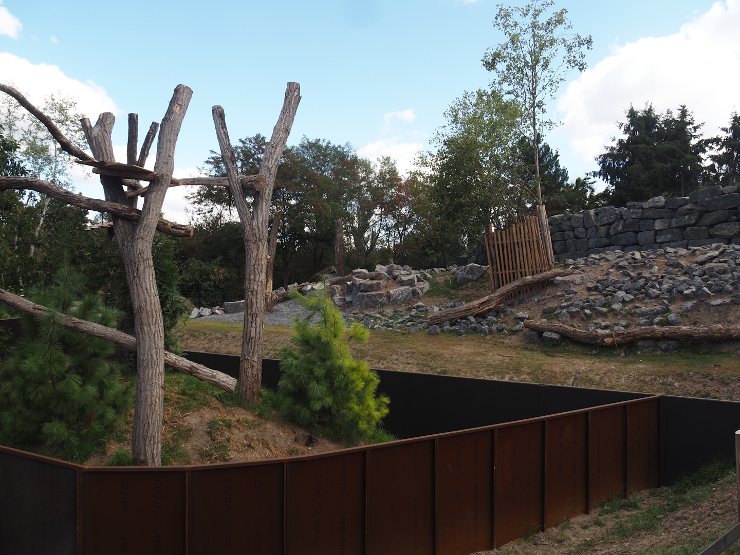 New secondary red panda exhibit and new golden takin exhibit, 2025-08-24