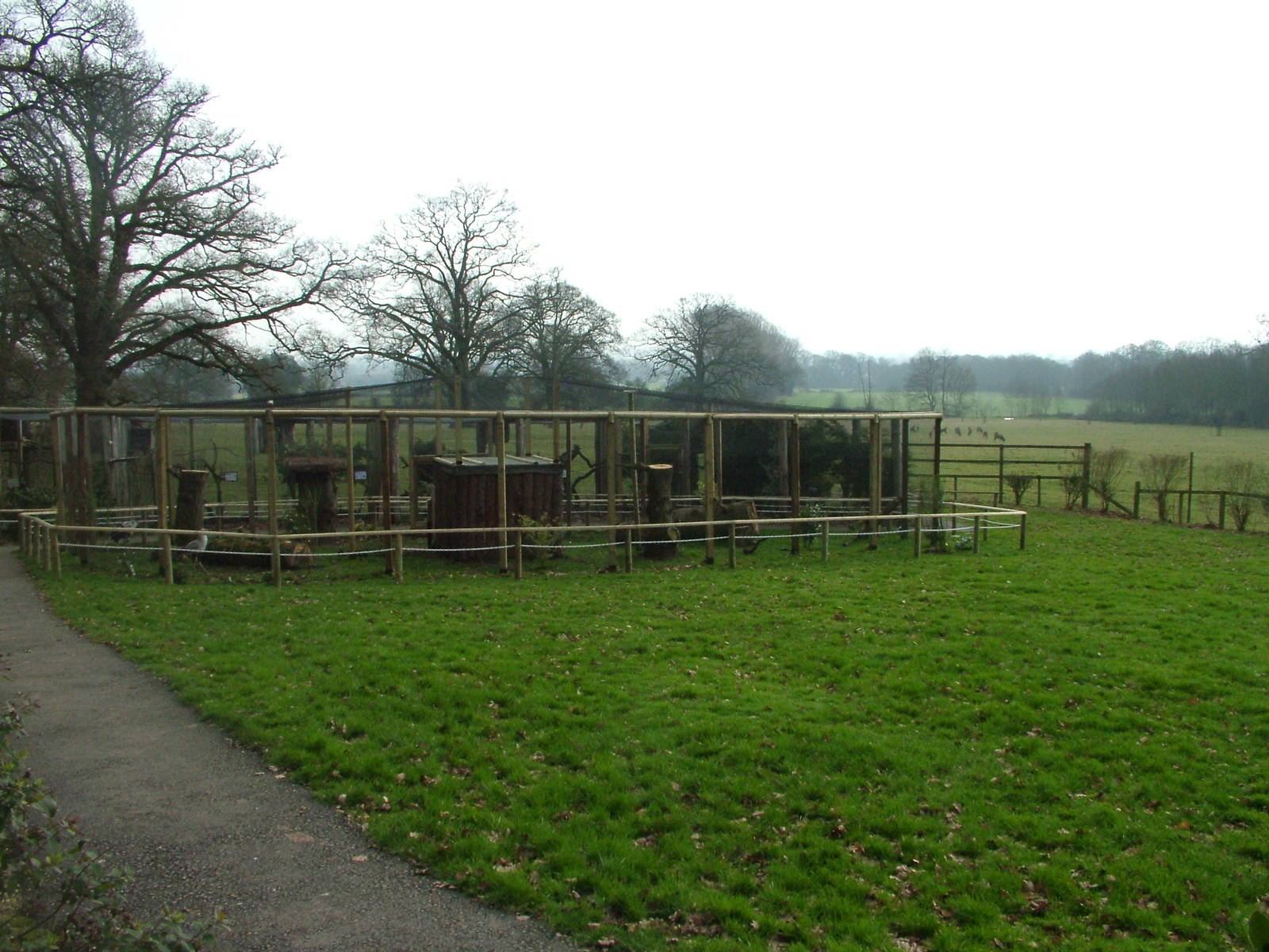 New Secretary Bird Aviary at Cotswold Falconry 05/03/11