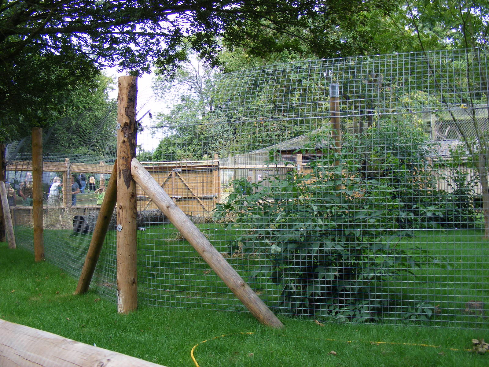 New serval enclosure at Marwell Wildlife, 8 August 2010