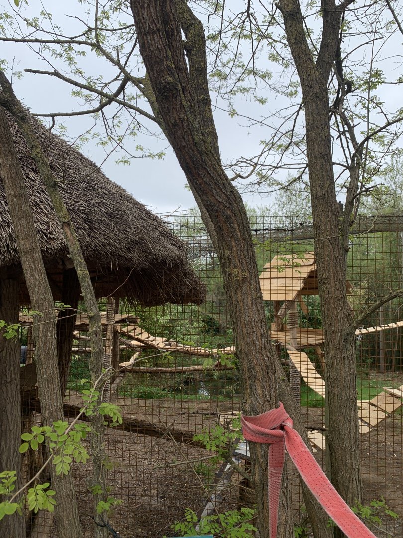 New Serval enclosure