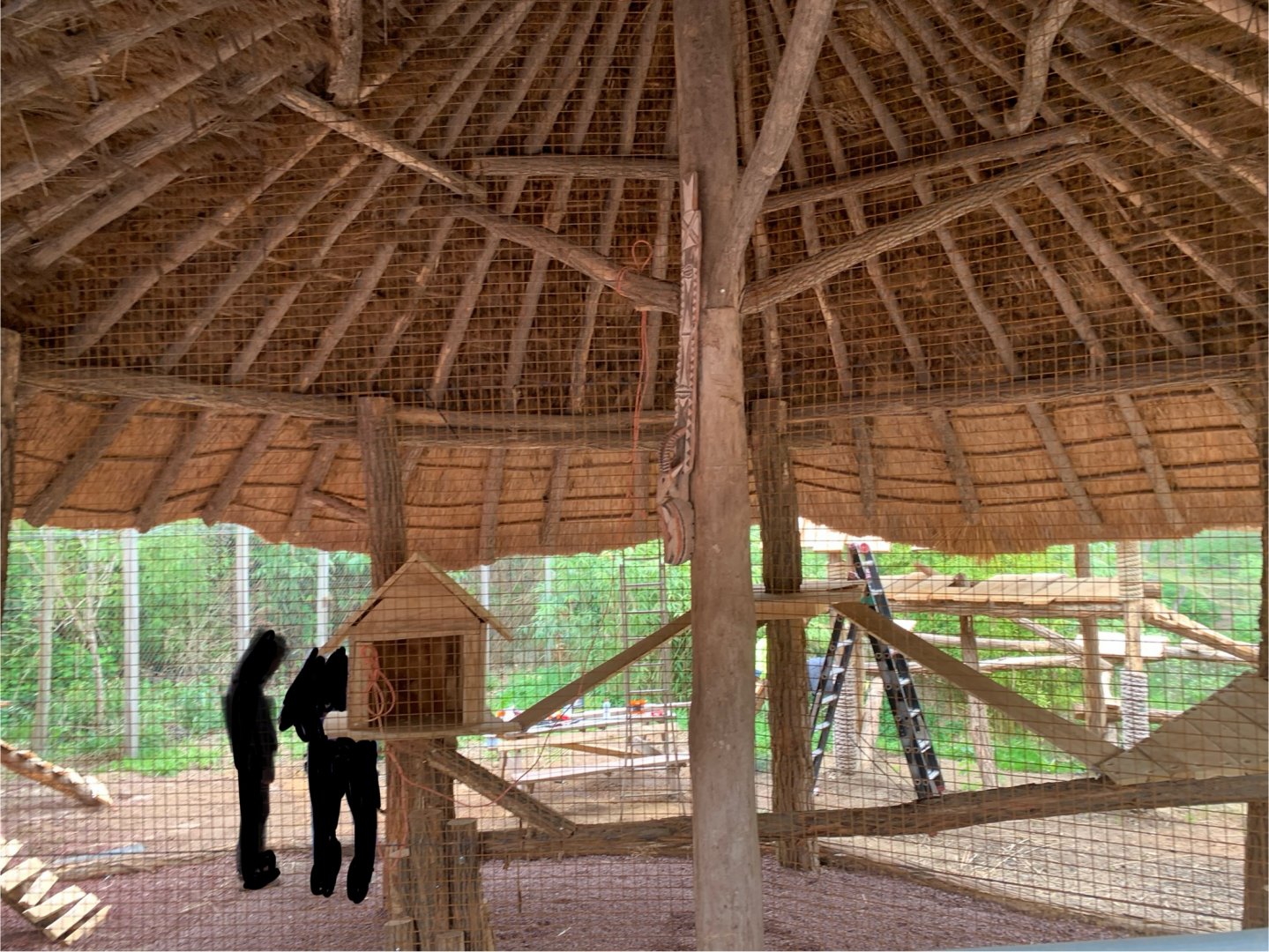 New Serval enclosure