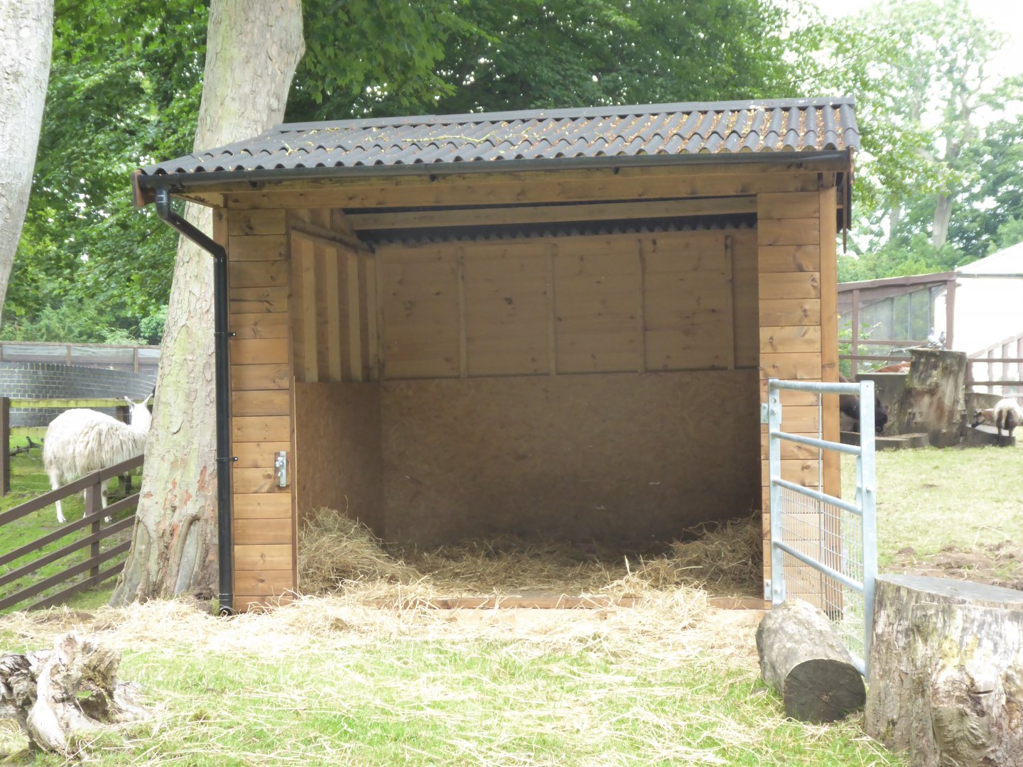 New shelter in central paddock, 10th July 2017