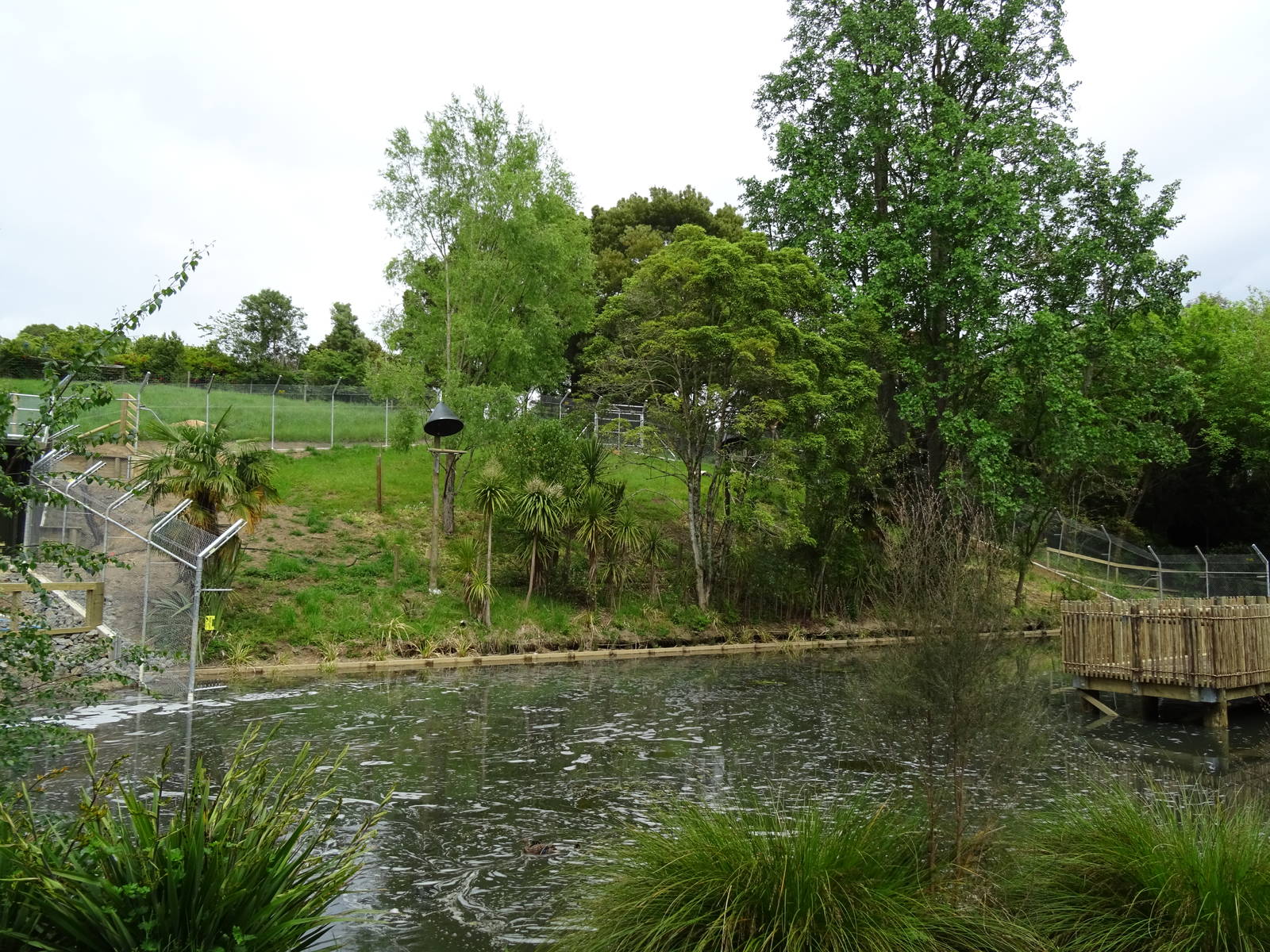 New Siamang Enclosure