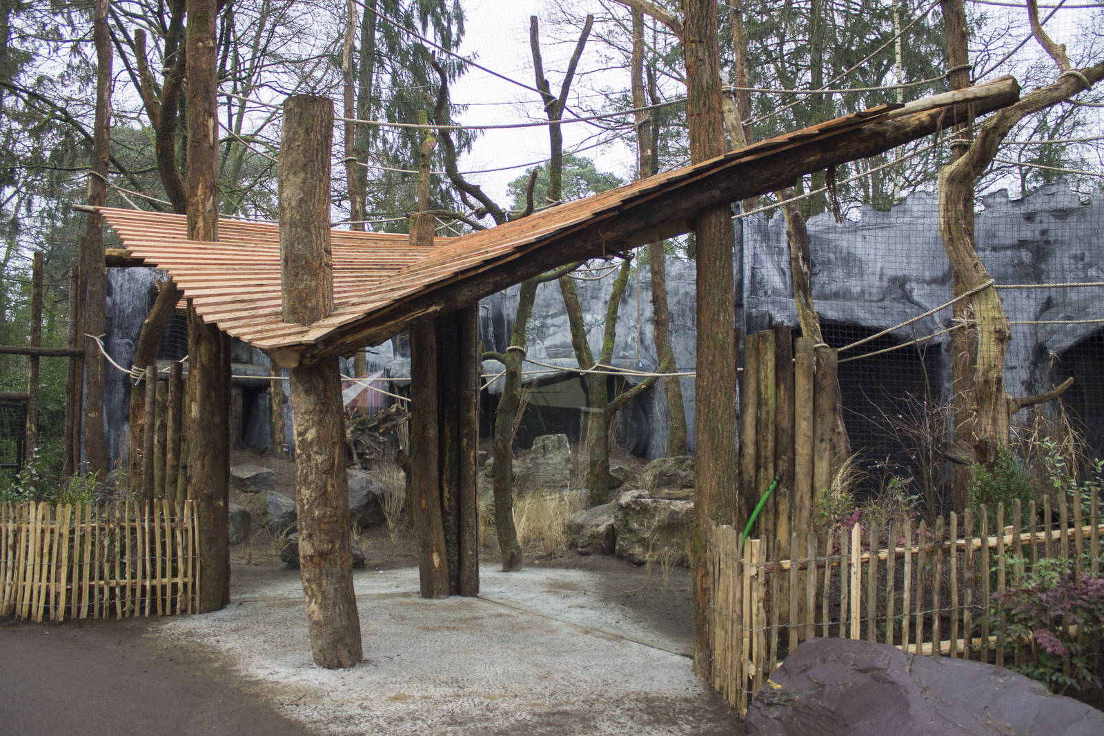 New siamang enclosure