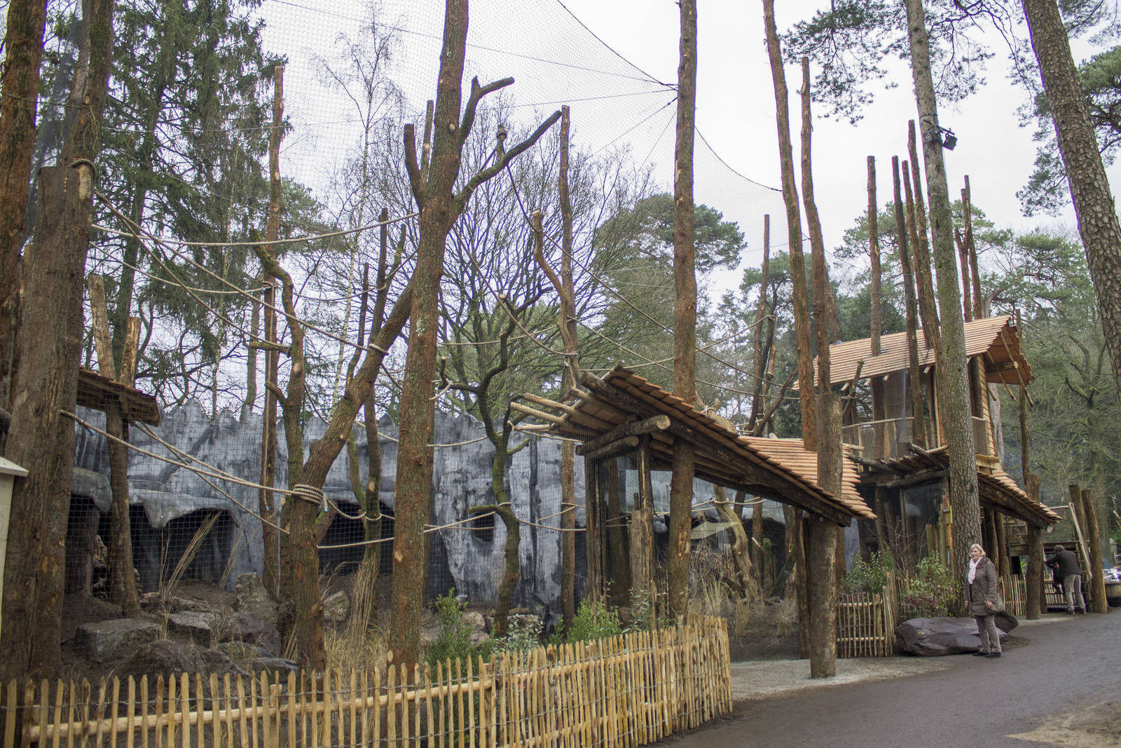 New siamang enclosure