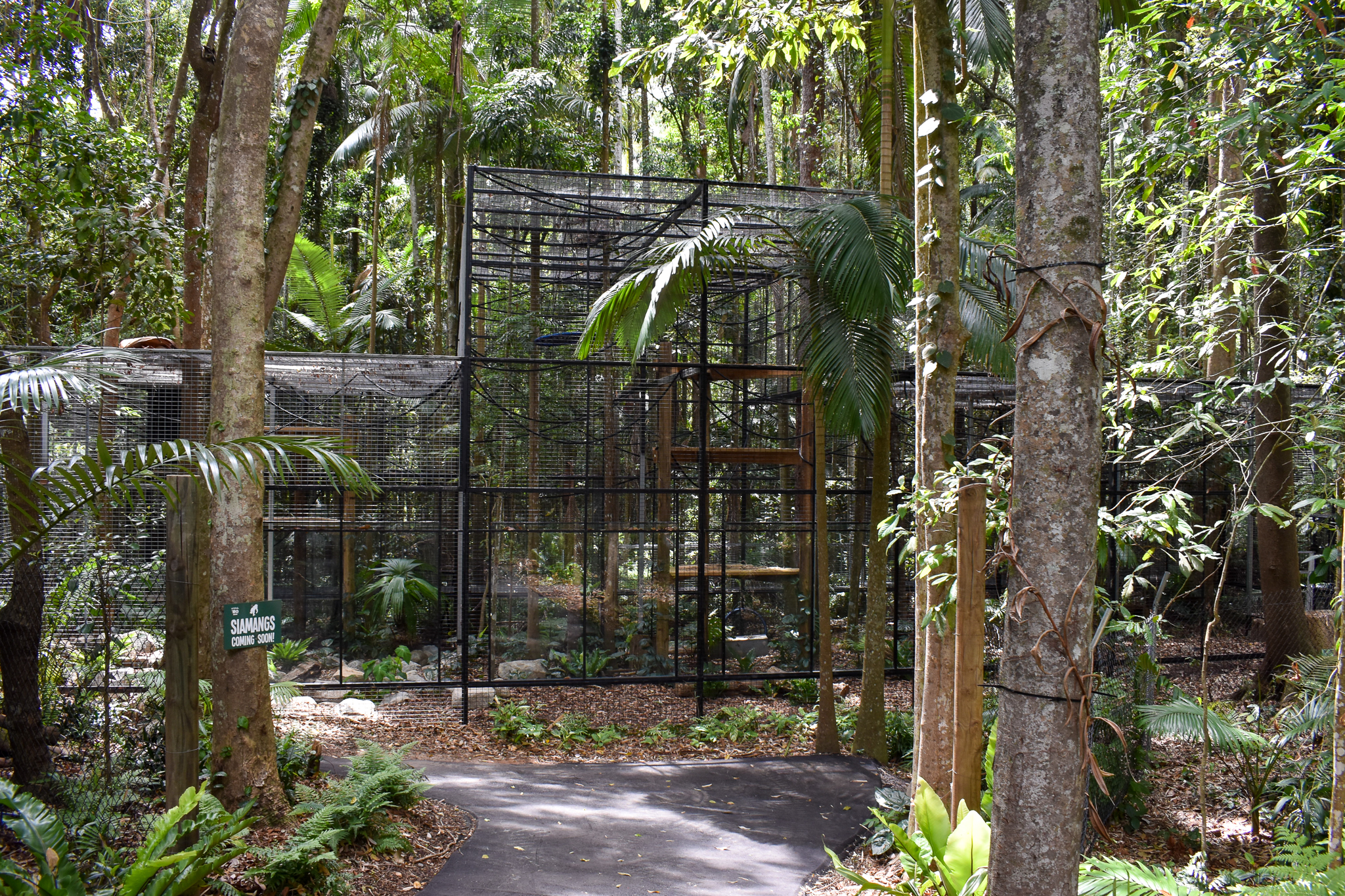 New Siamang Enclosure