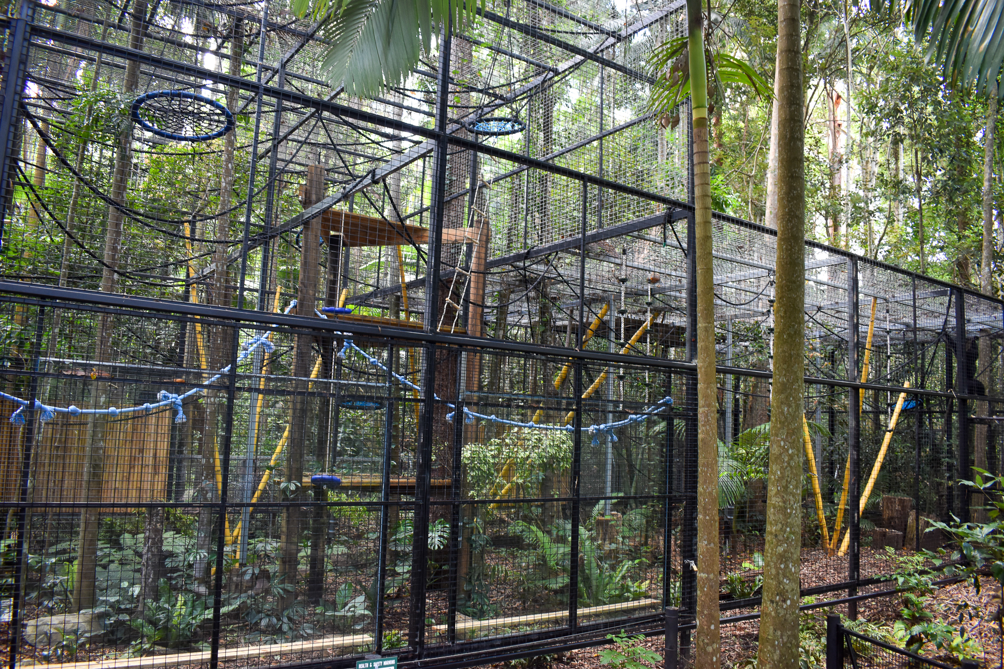New Siamang Enclosure