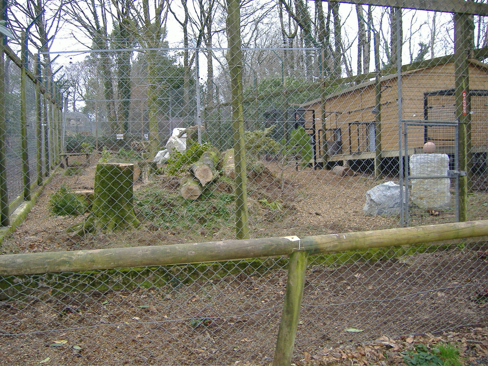 new siberian lynx exhibit dartmoor