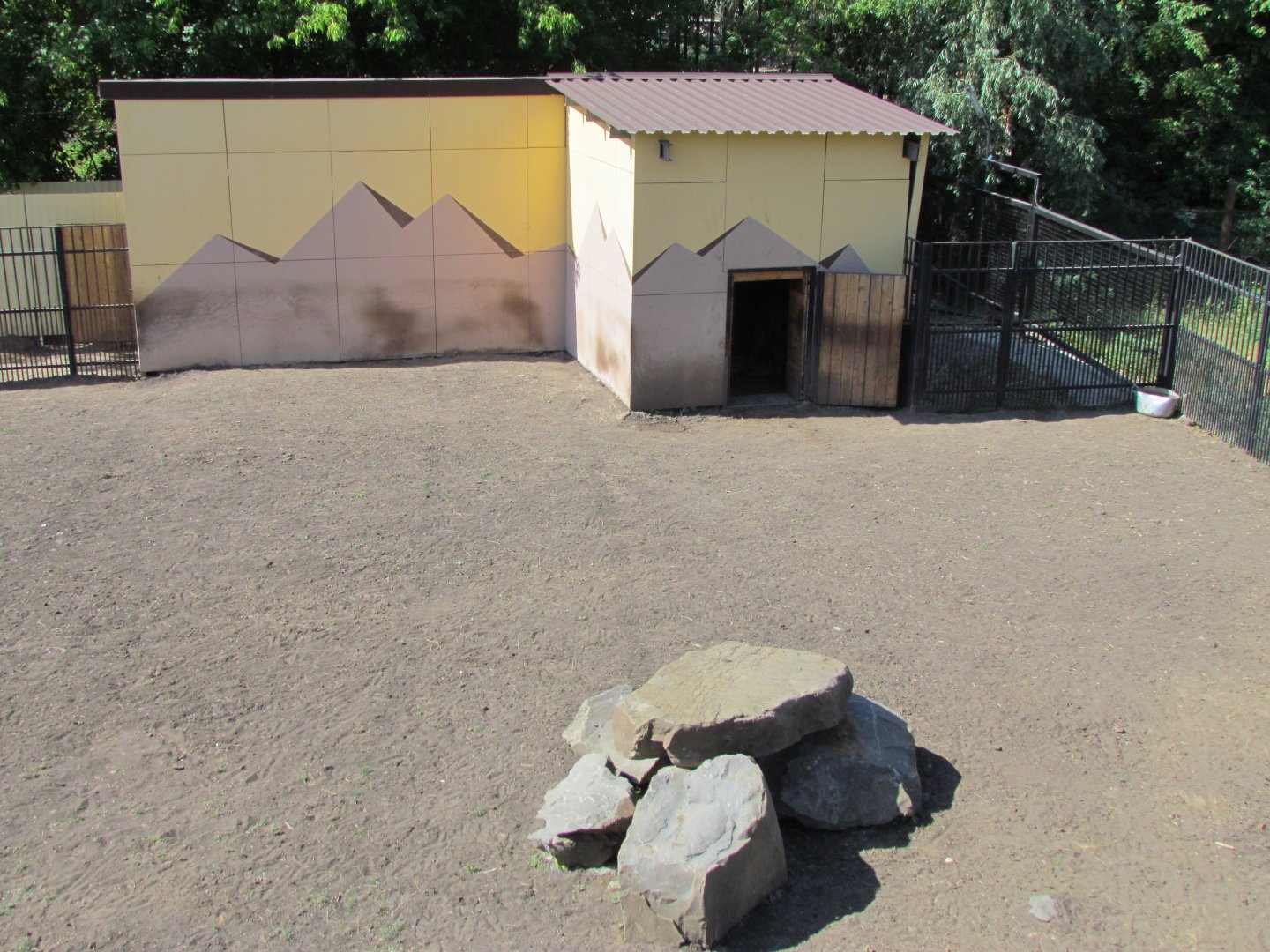 New Sichuan takin exhibit