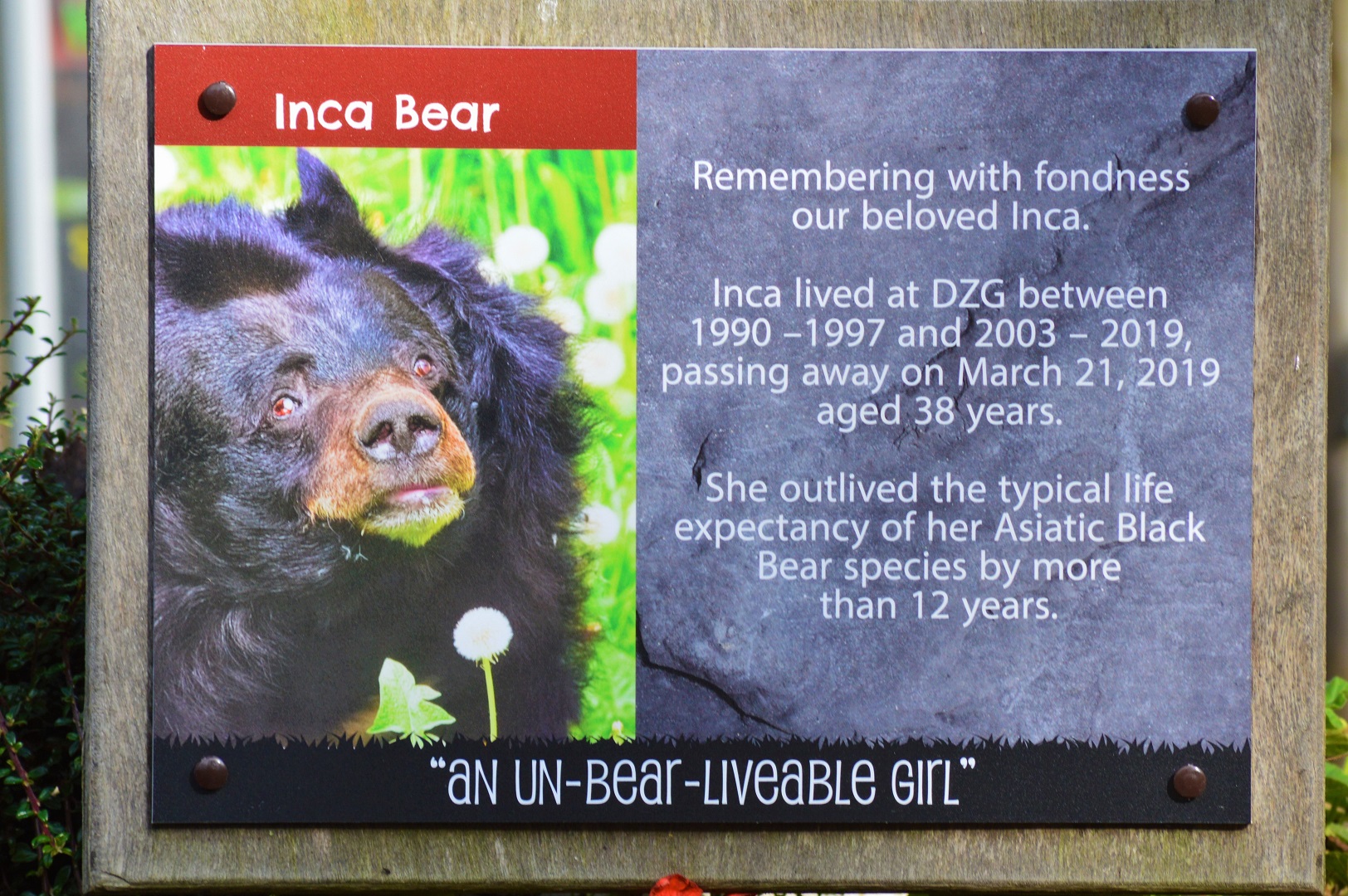 New sign about Inca.