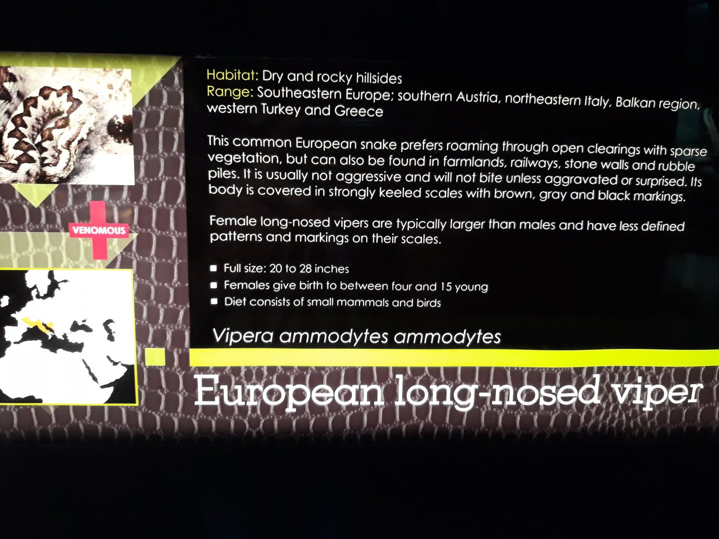 New sign, Adaptation Hall