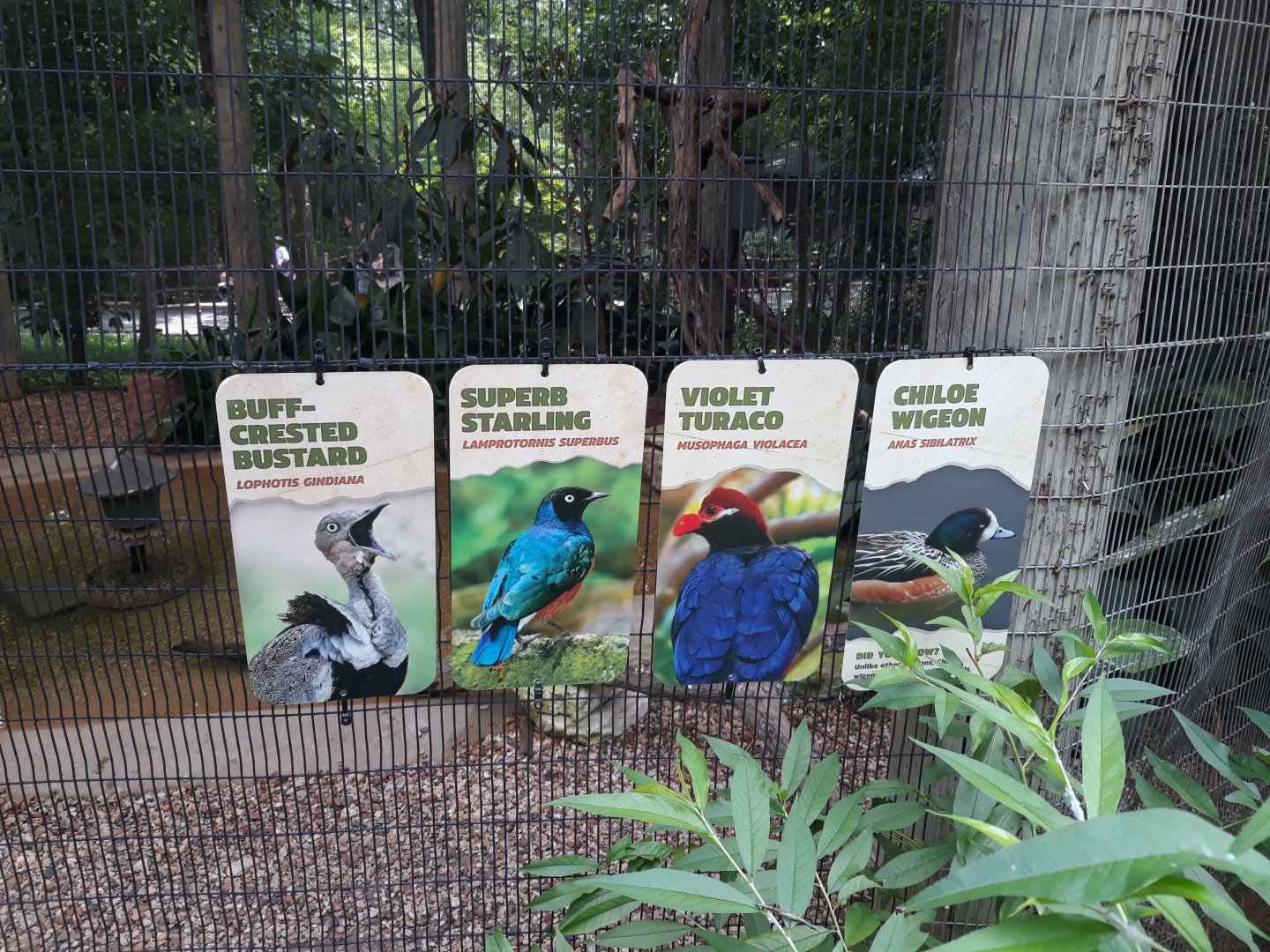 New sign and additions