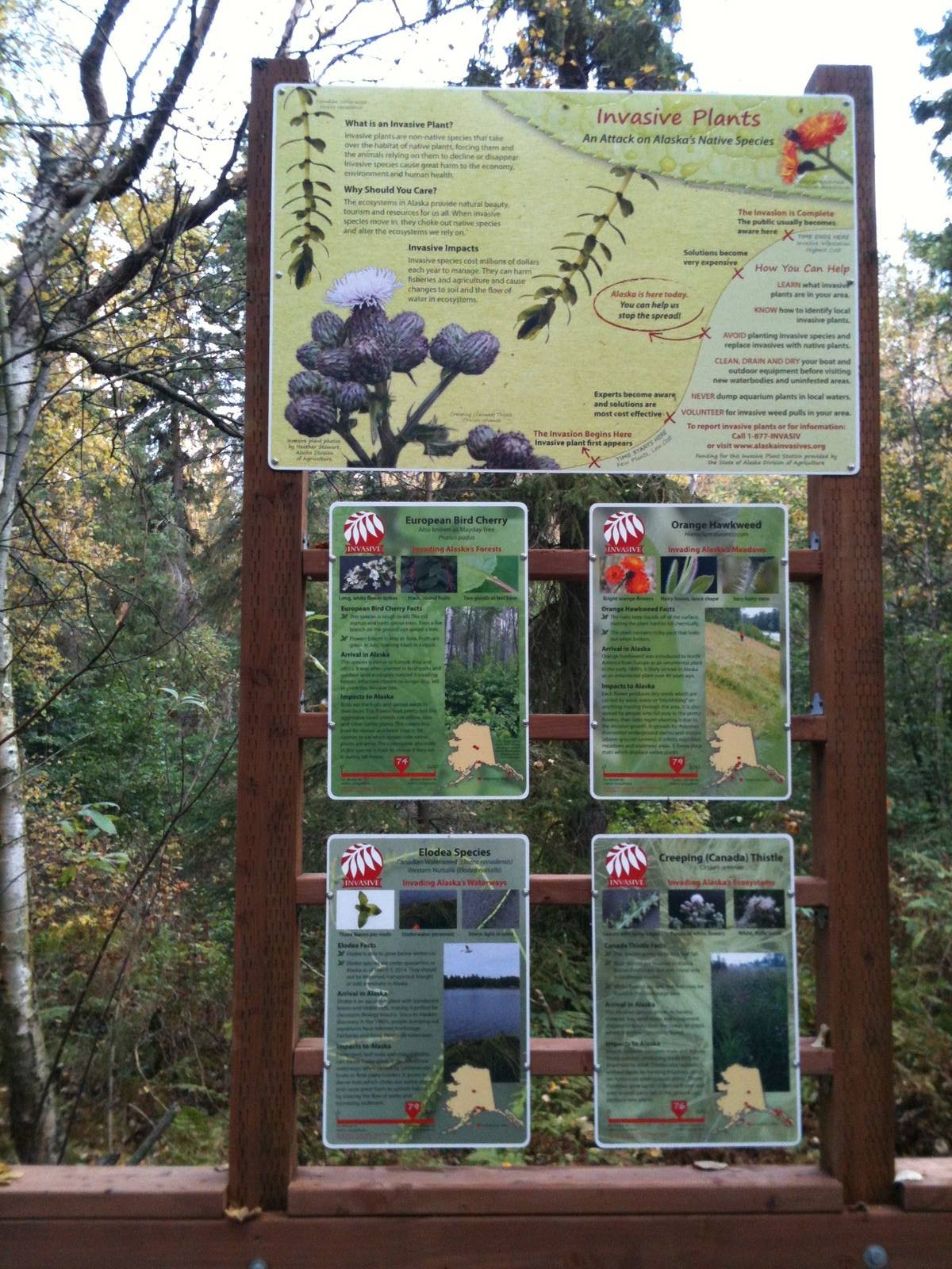 New sign and creekside overlook.  Sign regards recognition of invasive plan