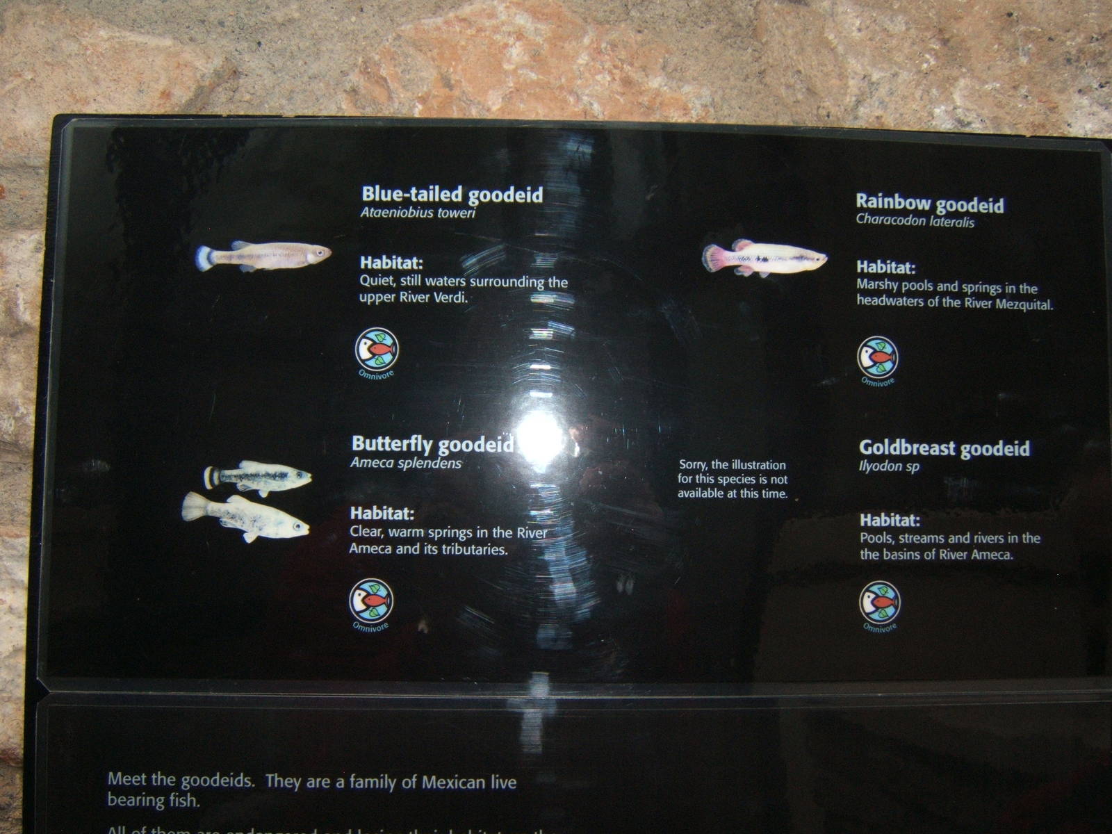 New sign for tank in entrance