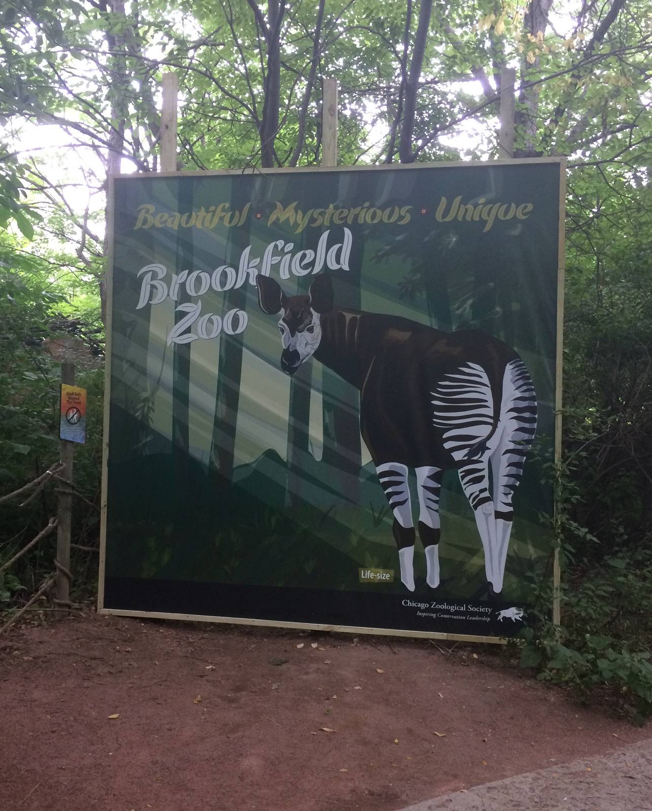 New sign in Habitat Africa! The Forest