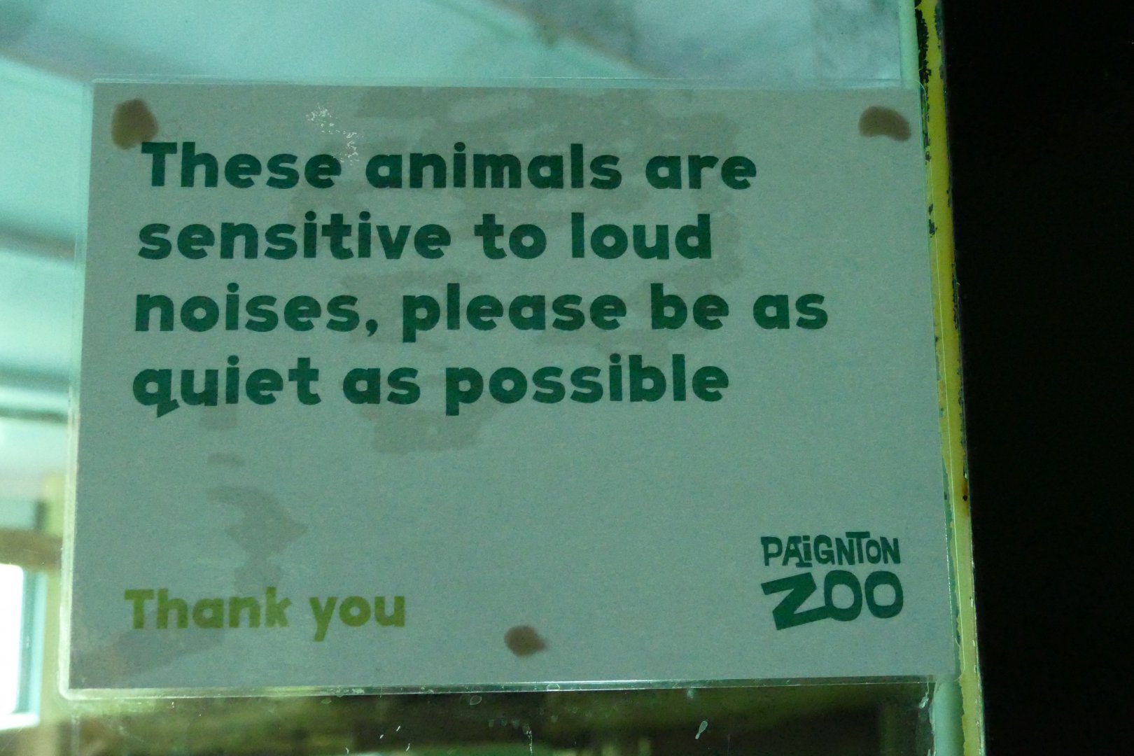 New sign in the ape house, July 2018