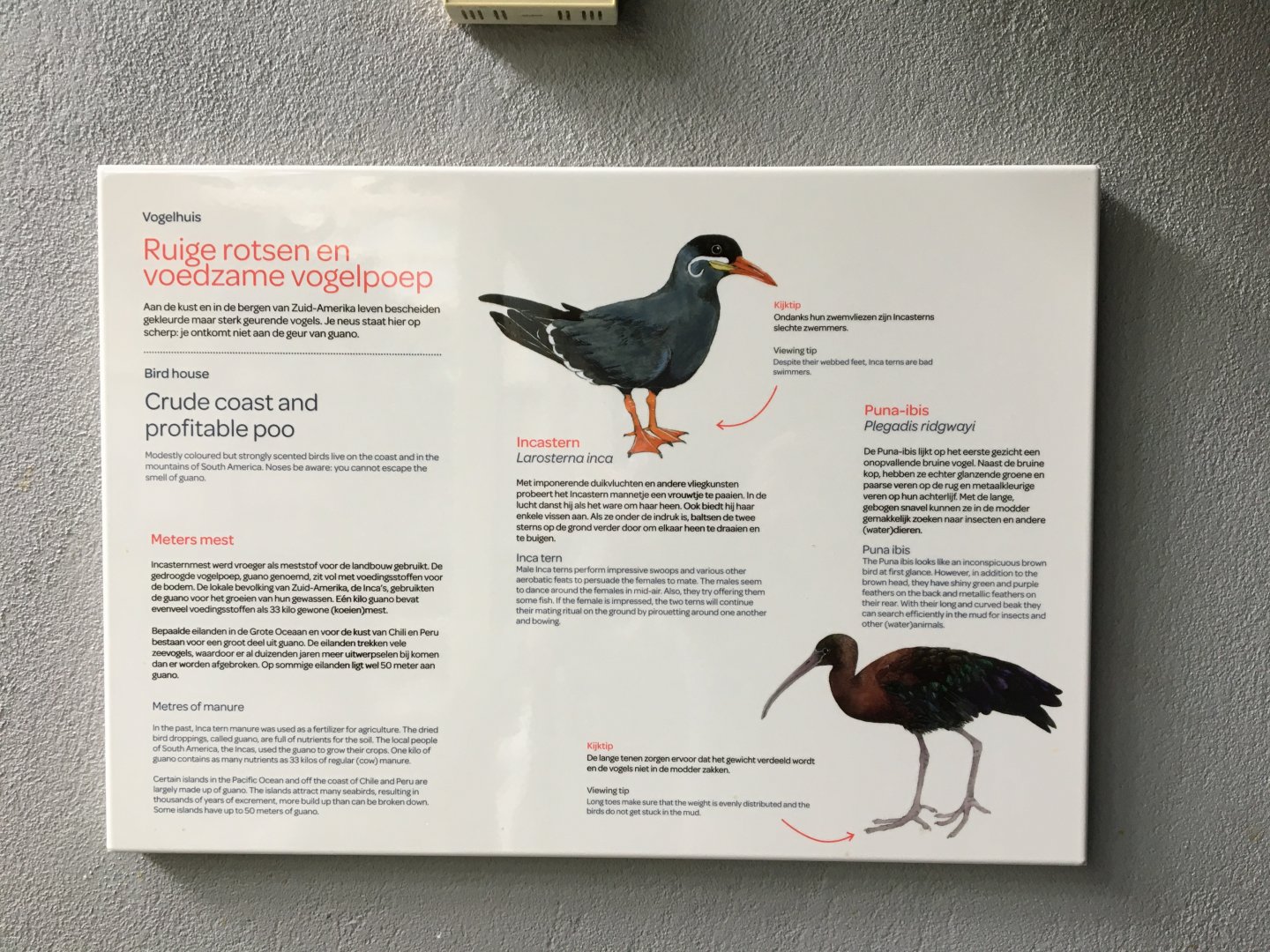 (New) sign in the first part of the vogelhuis/birdhouse