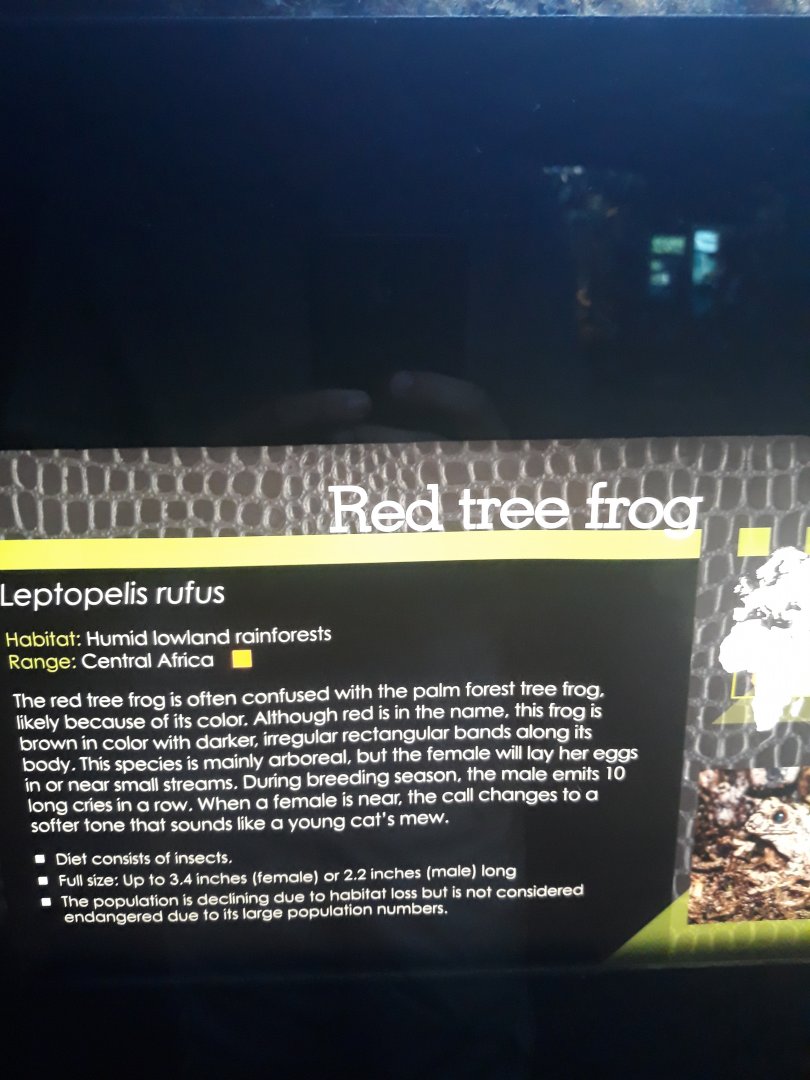 New Sign means New Animal