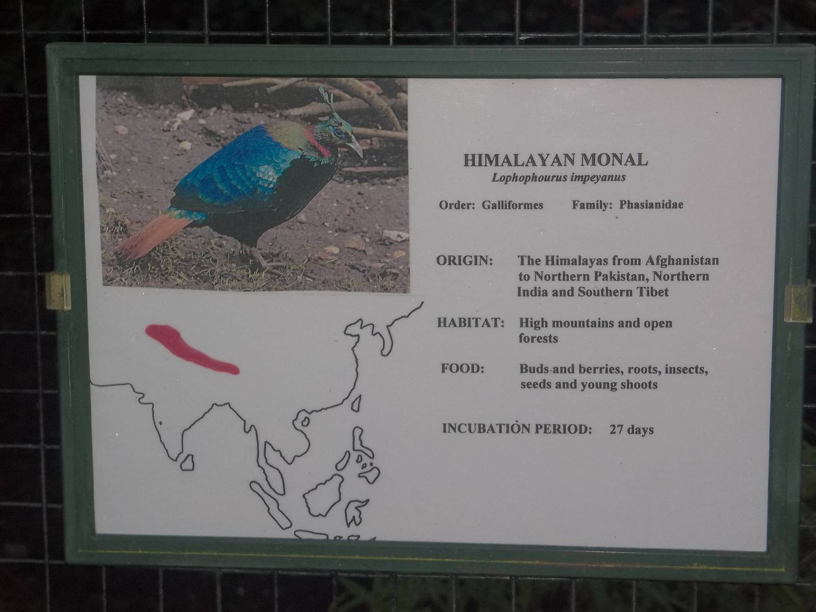 New signage, 13th December 2014