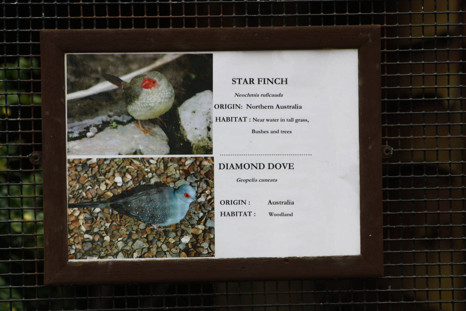 New signage, 16th August 2014