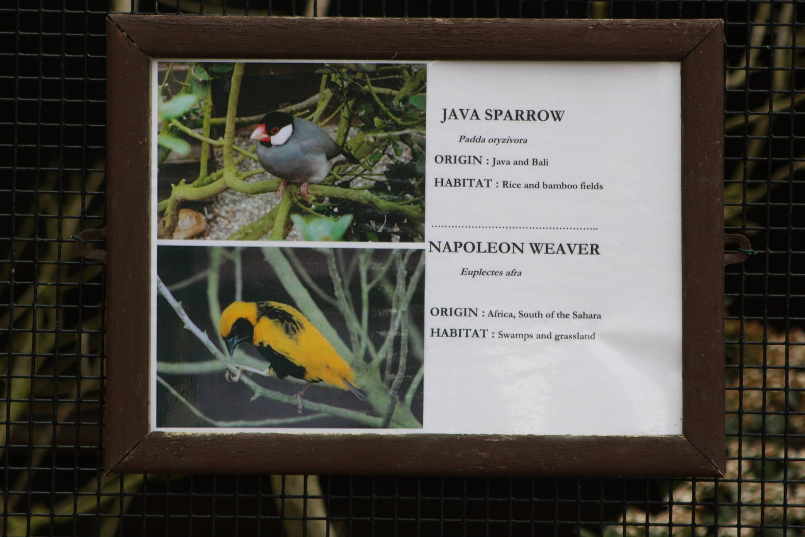 New signage, 16th August 2014