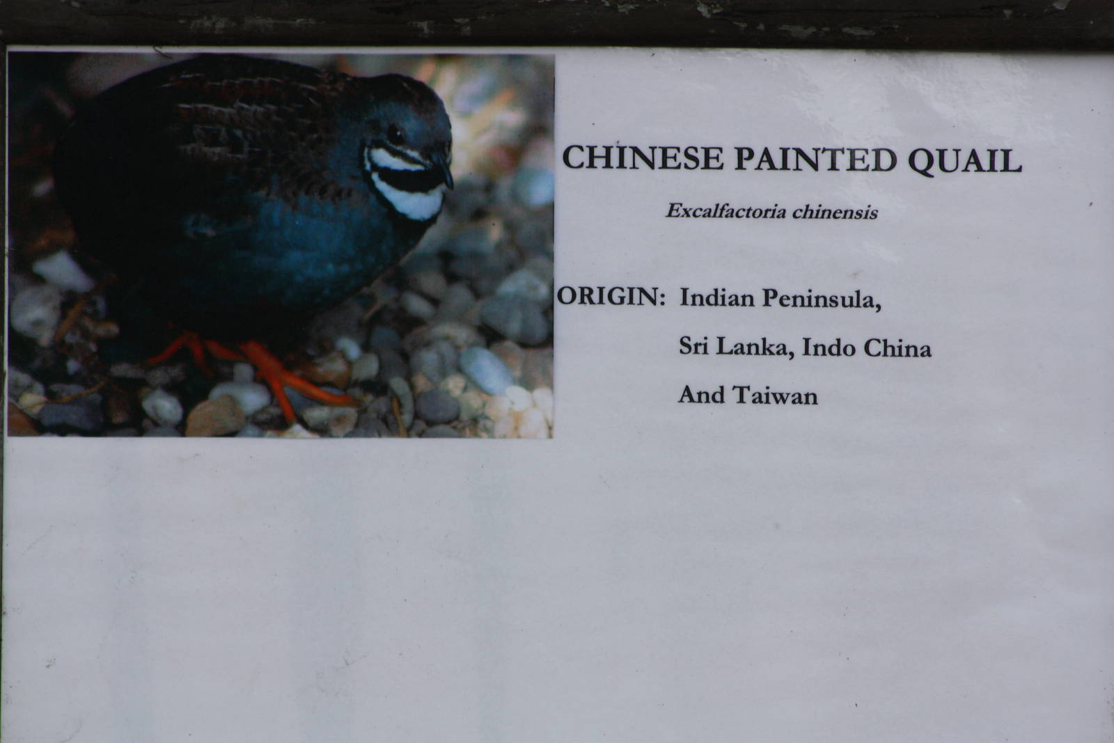 New signage, 16th August 2014