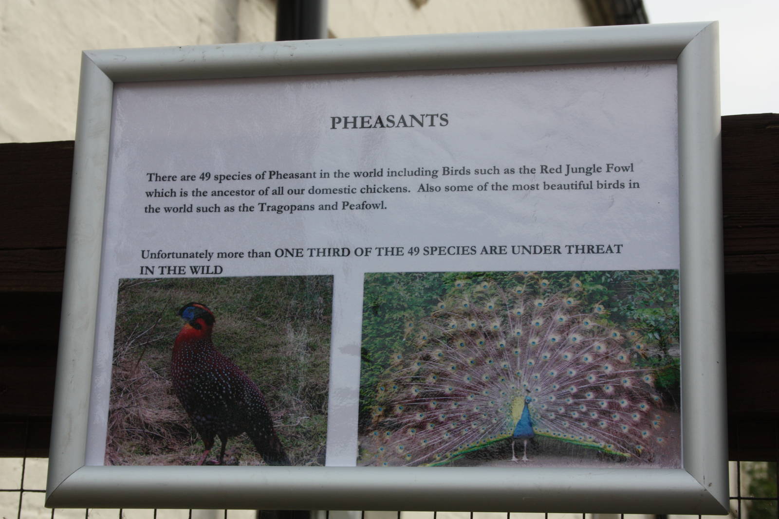 New signage, 8th September 2014