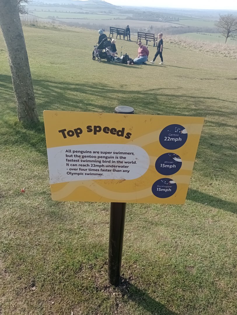 New signage about penguins