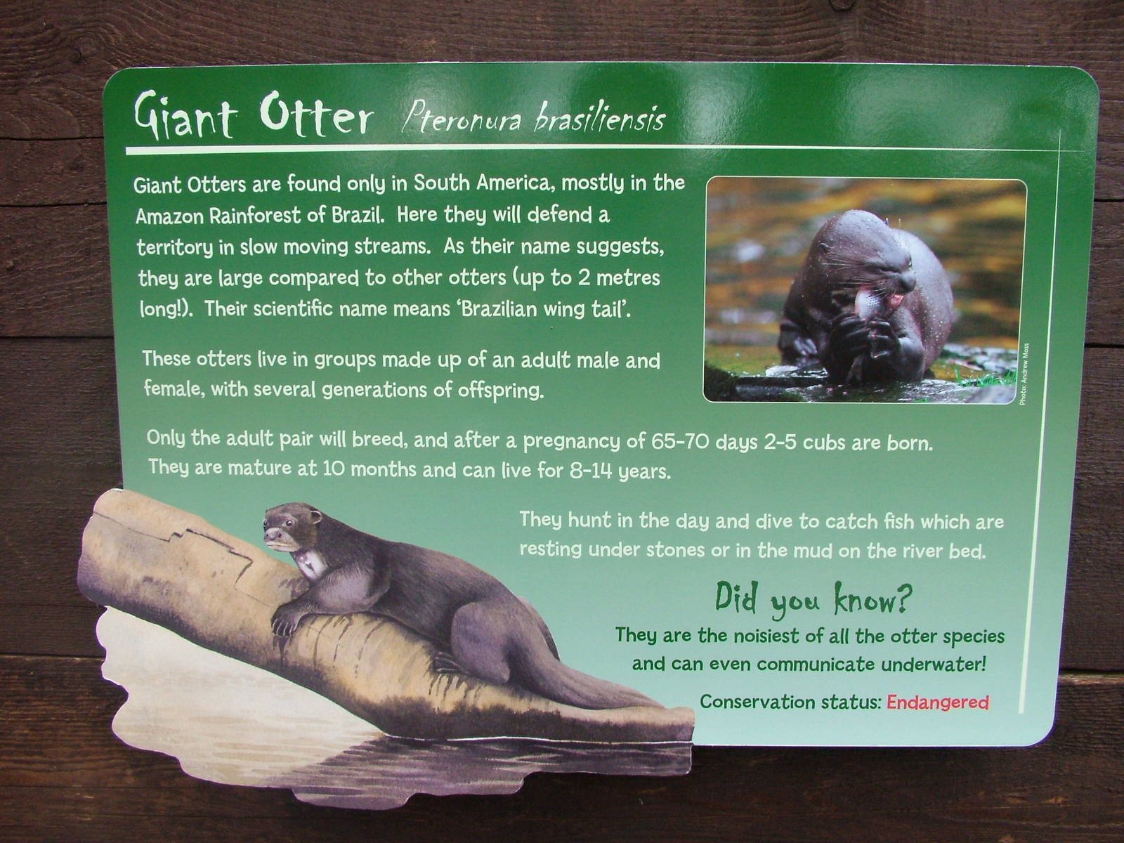 New Signage at Chester 25/04/10