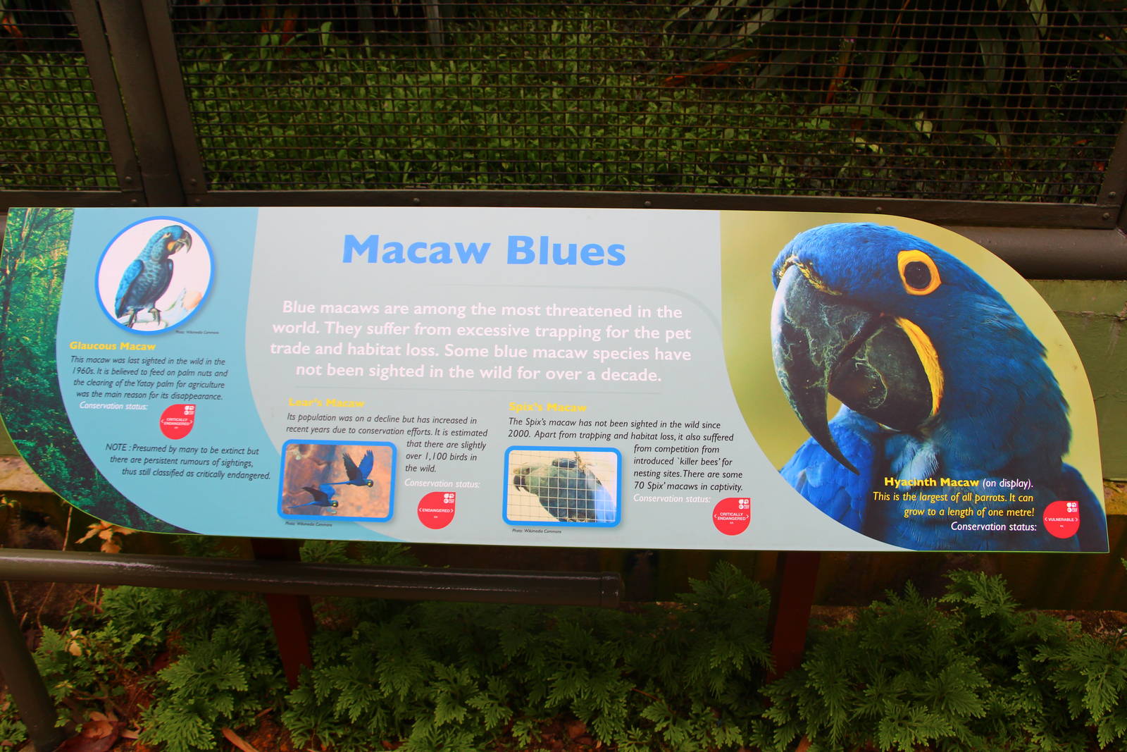 New Signage at Parrot Paradise