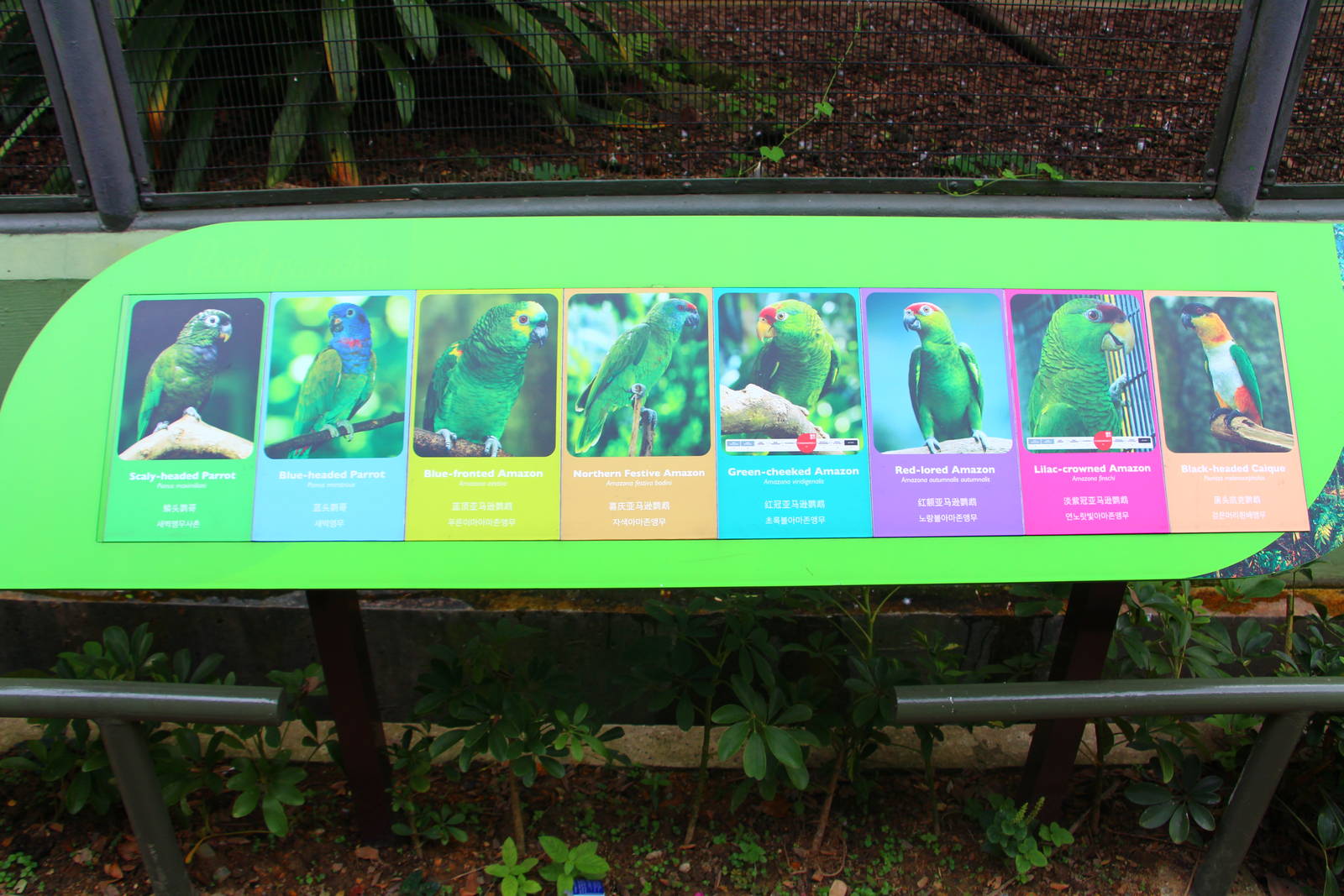 New Signage at Parrot Paradise