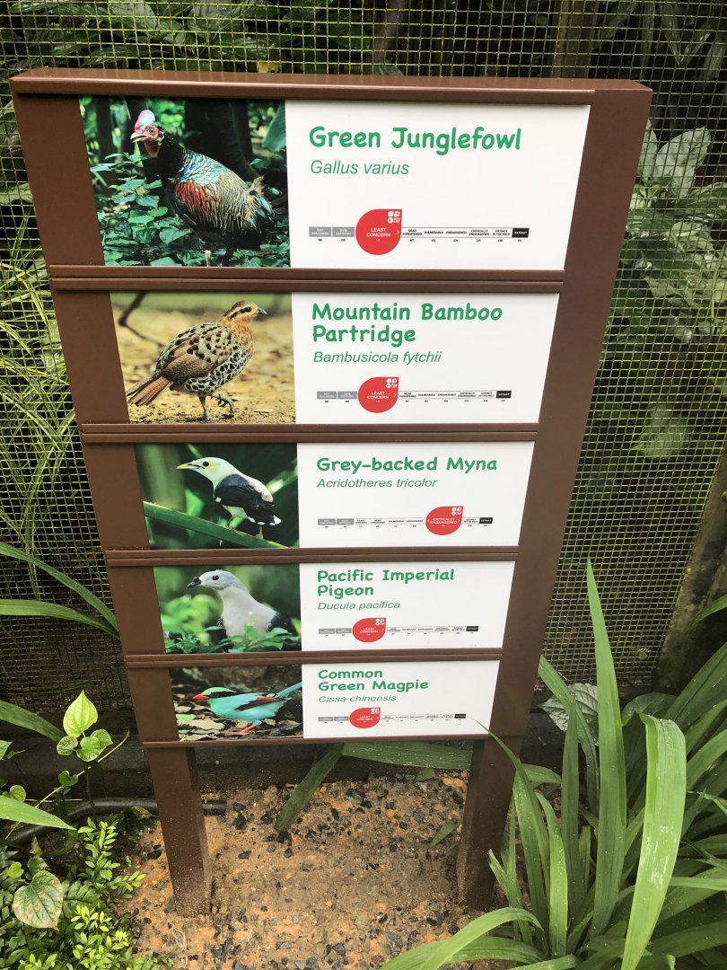 New signage at Wings of Asia