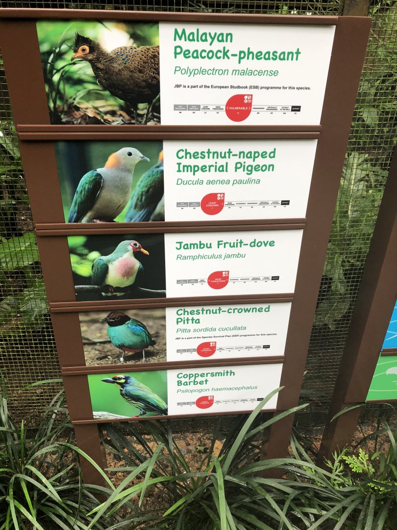 New signage at Wings of Asia