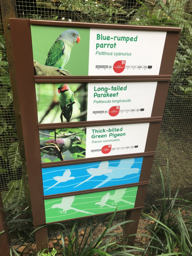 New signage at Wings of Asia