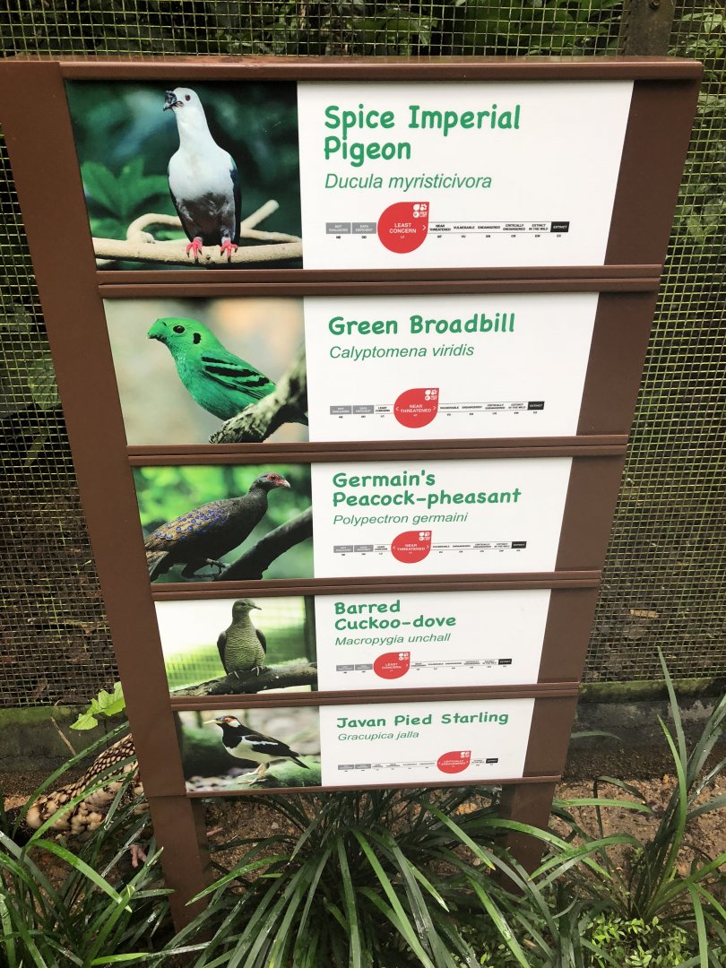 New signage at Wings of Asia