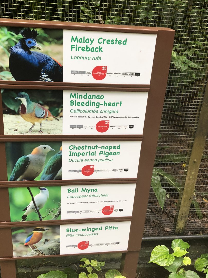 New signage at Wings of Asia