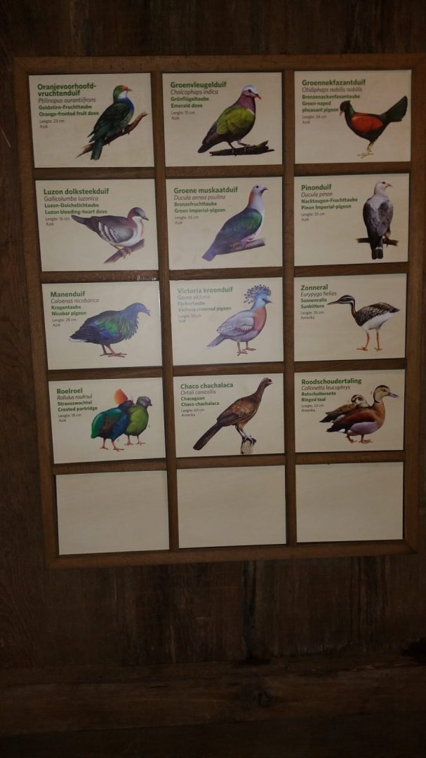 New signage Bird-house in Burgers'Bush Part 1