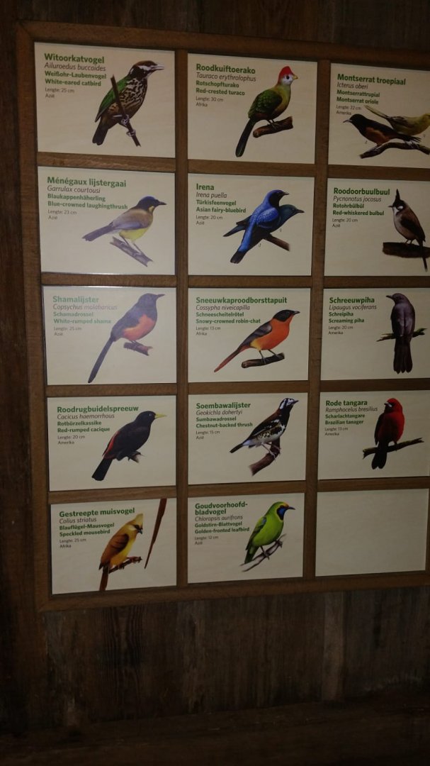 New signage Bird-house in Burgers'Bush Part 2