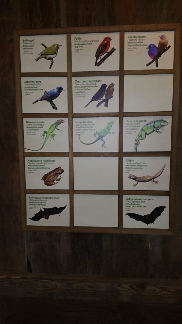 New signage Bird-house in Burgers'Bush Part 3