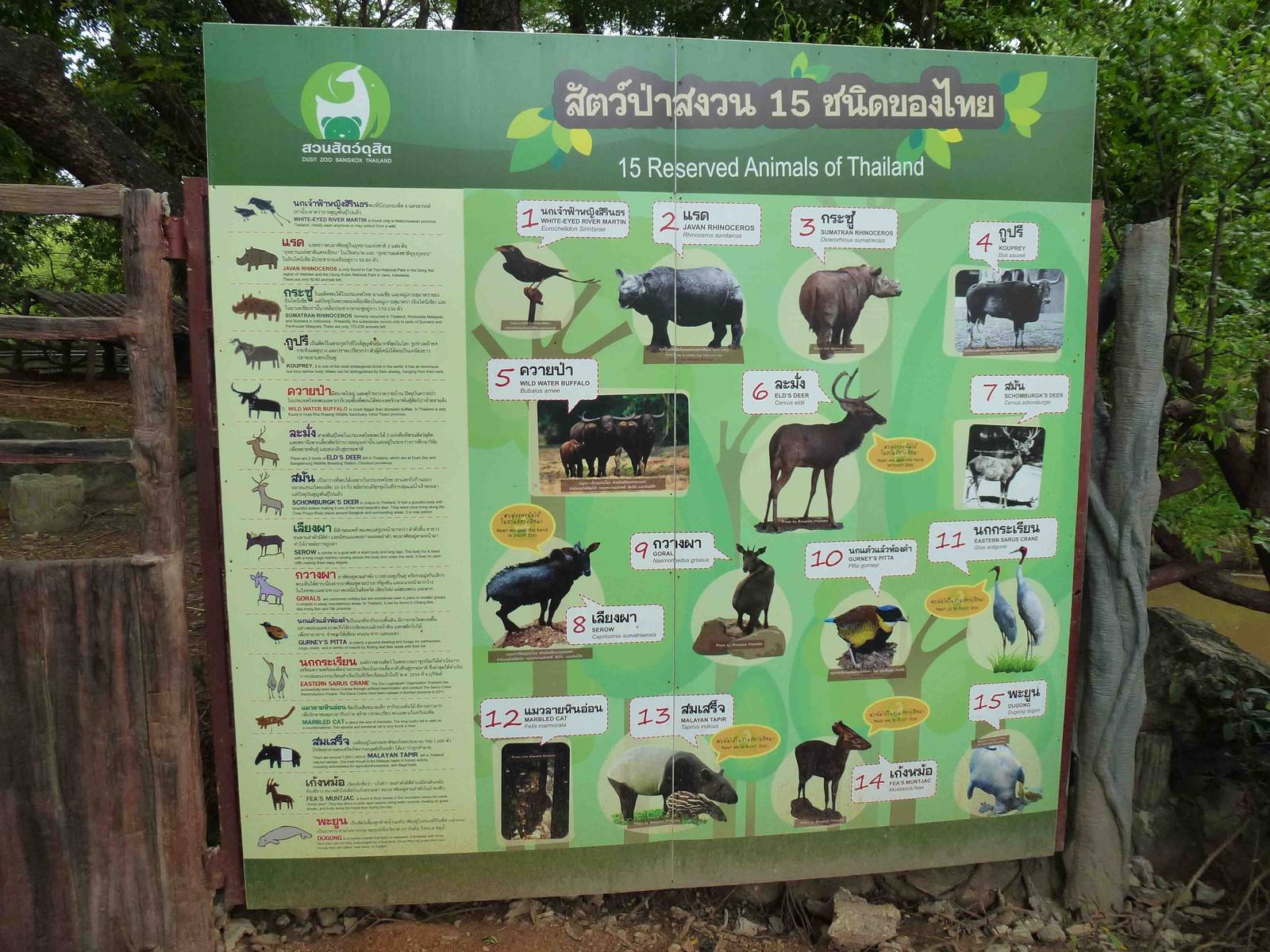 New signage example, July 2013.