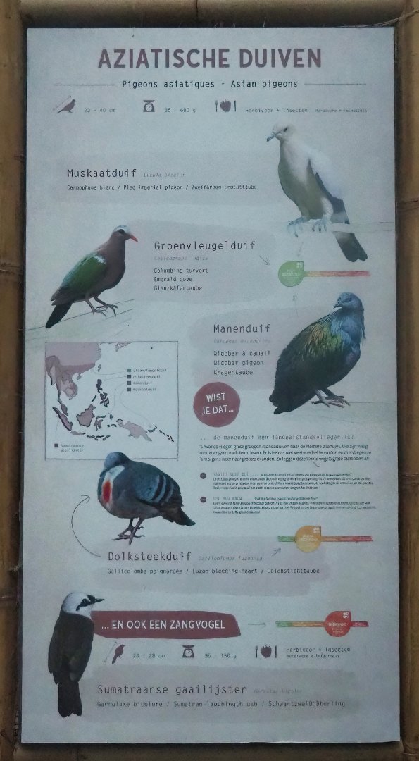 New signage for Asian pigeon and Sumatran laughingthrush aviary, 2024-01-01