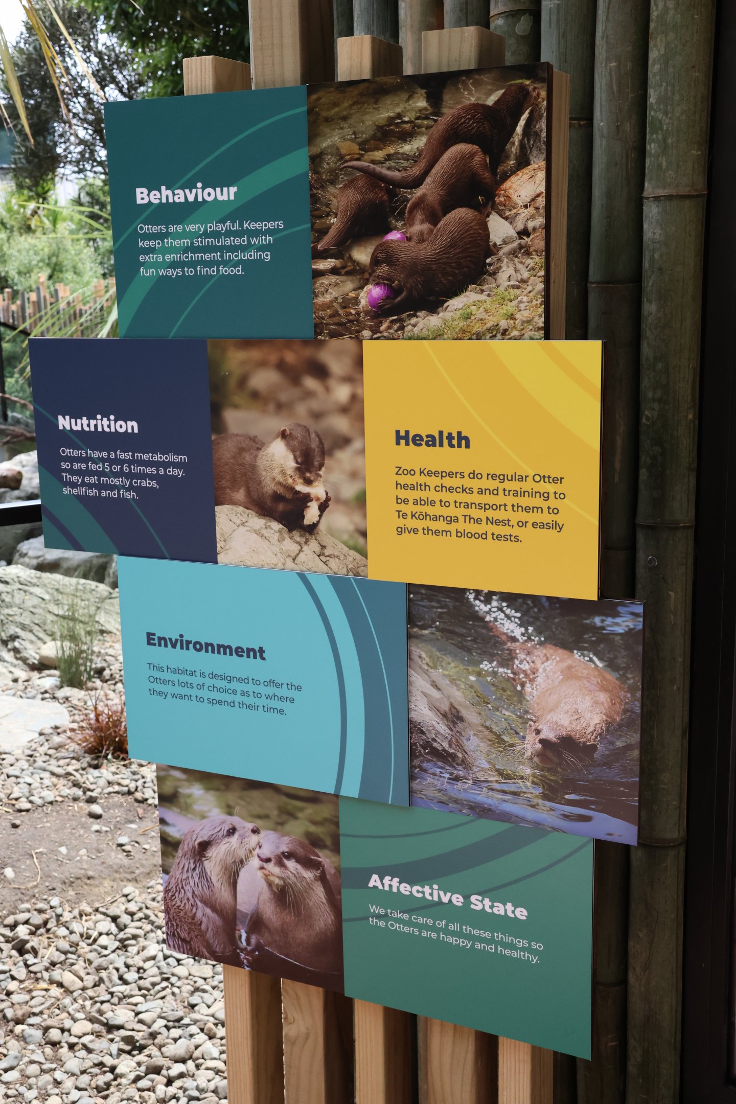 New signage for Asian Small-clawed Otter
