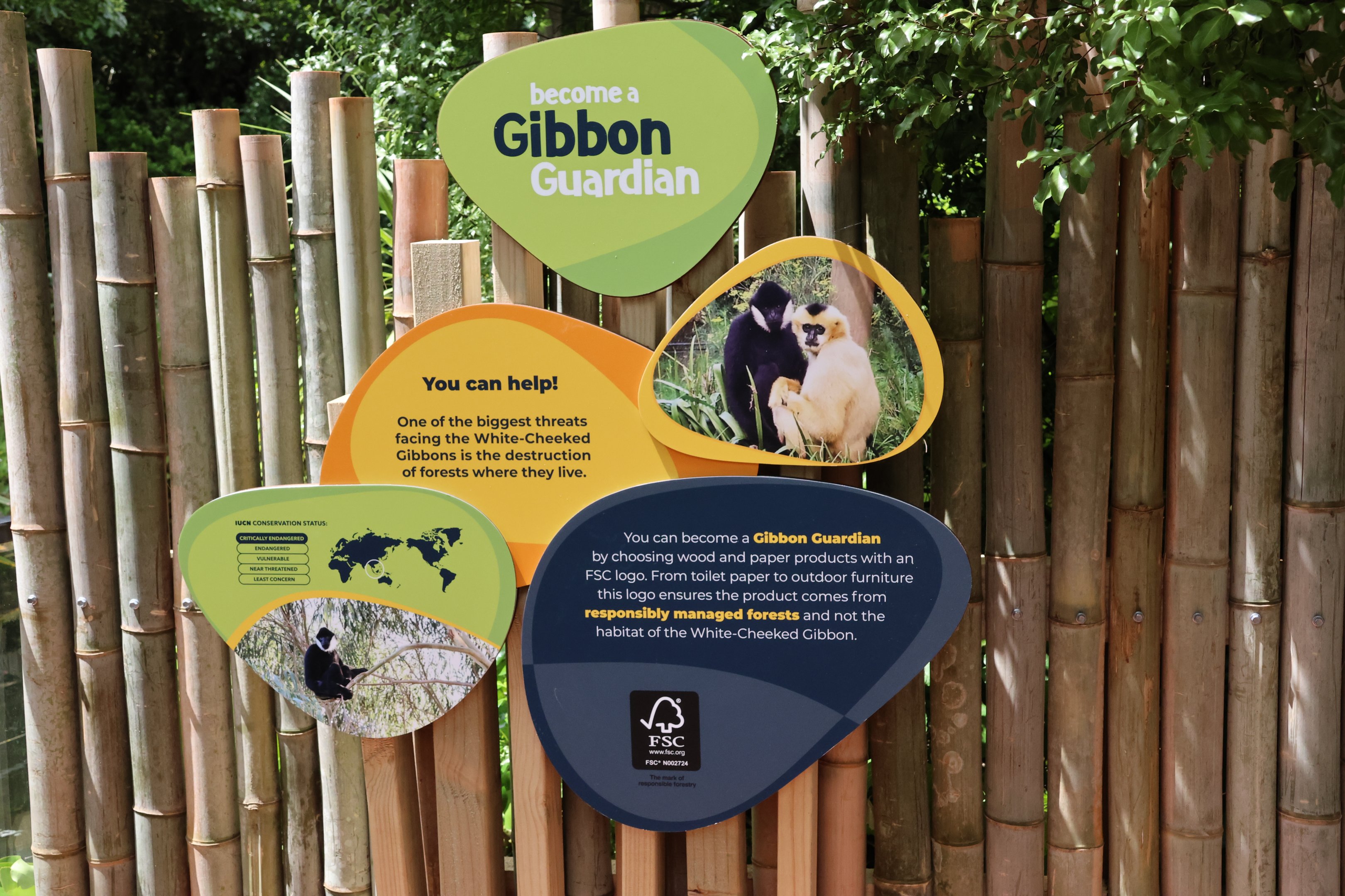 New signage for Northern White-cheeked Gibbon