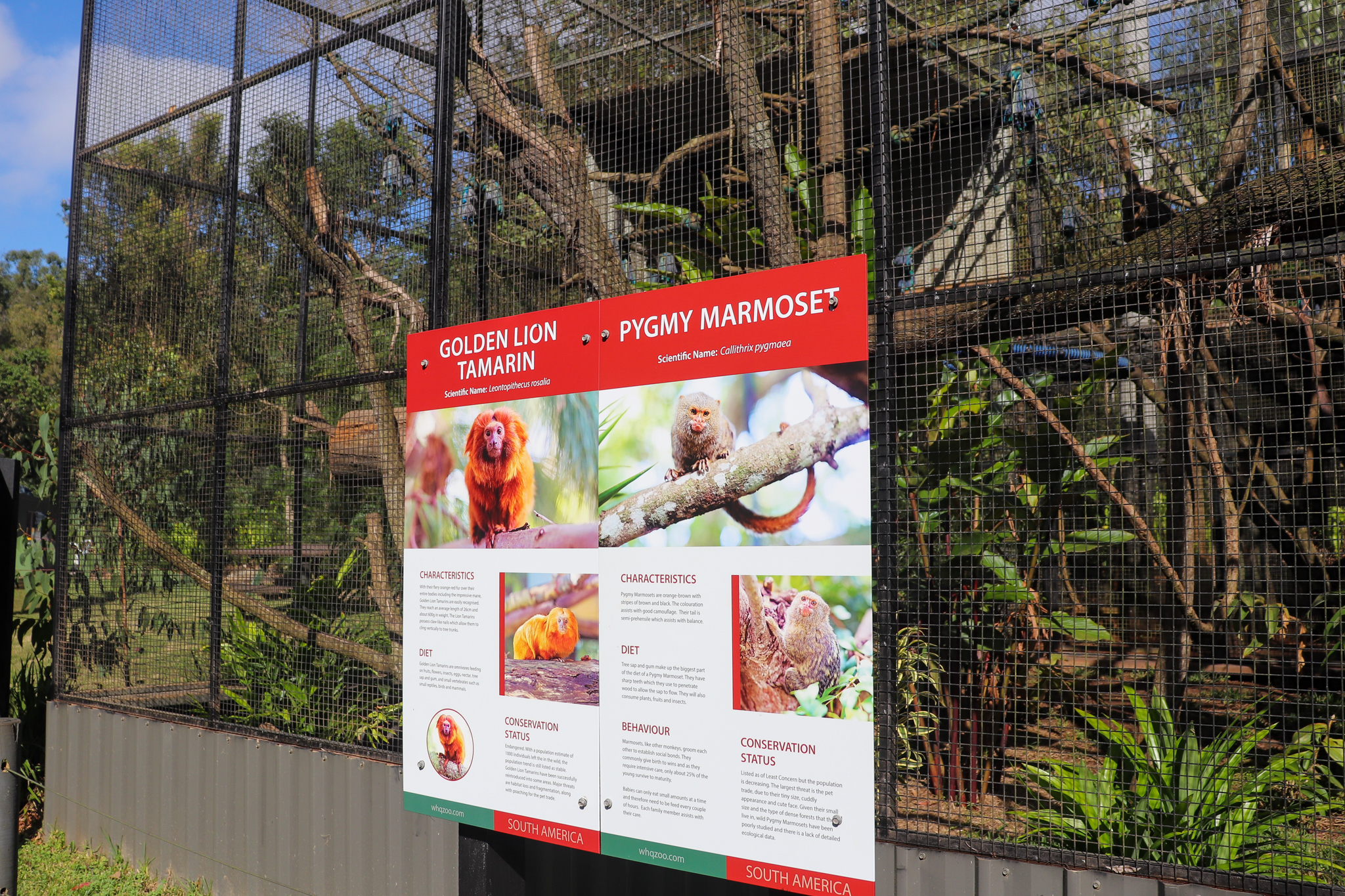 New Signage for Pygmy Marmoset/Golden Lion Tamarin Enclosure
