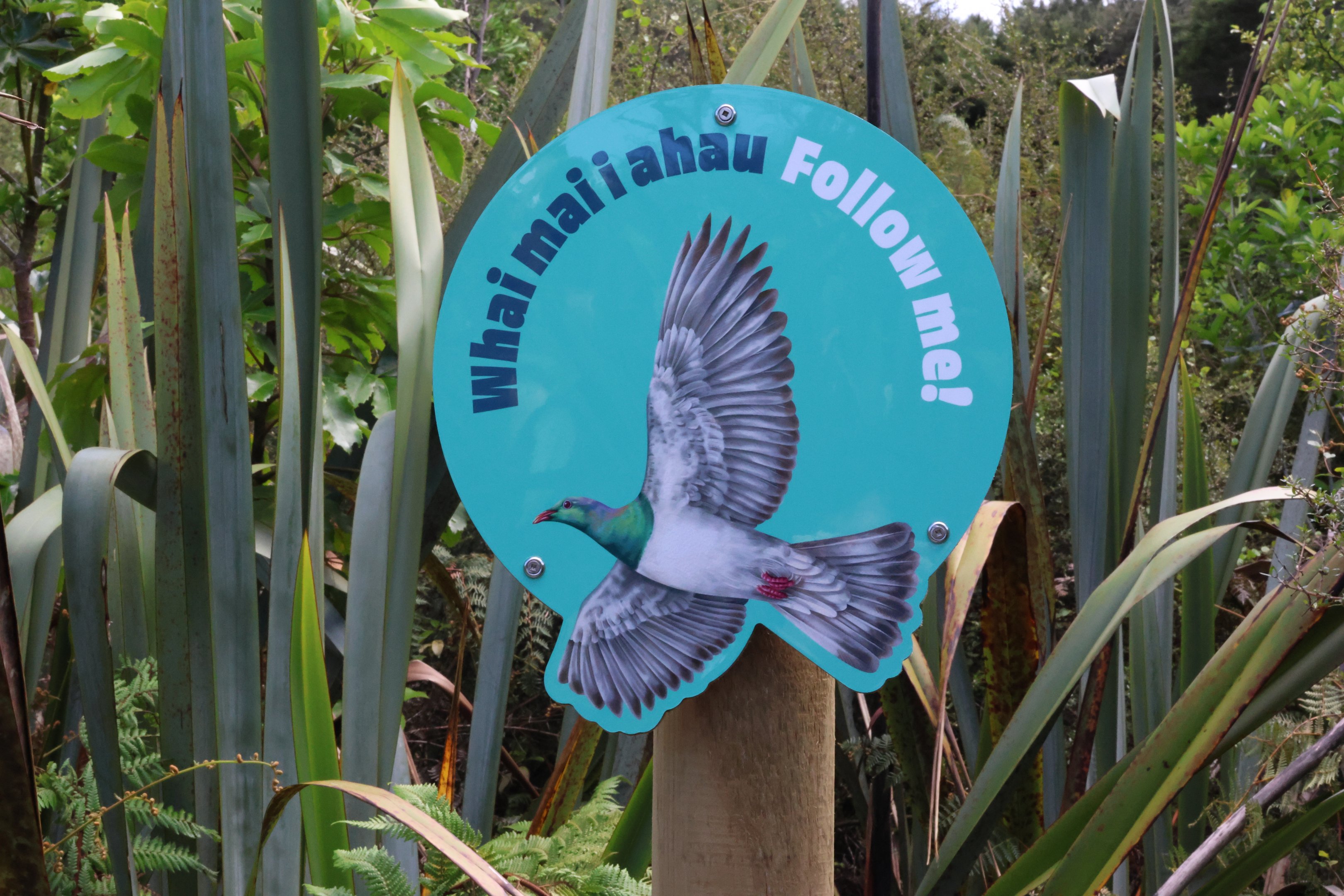 New signage for wild Kererū
