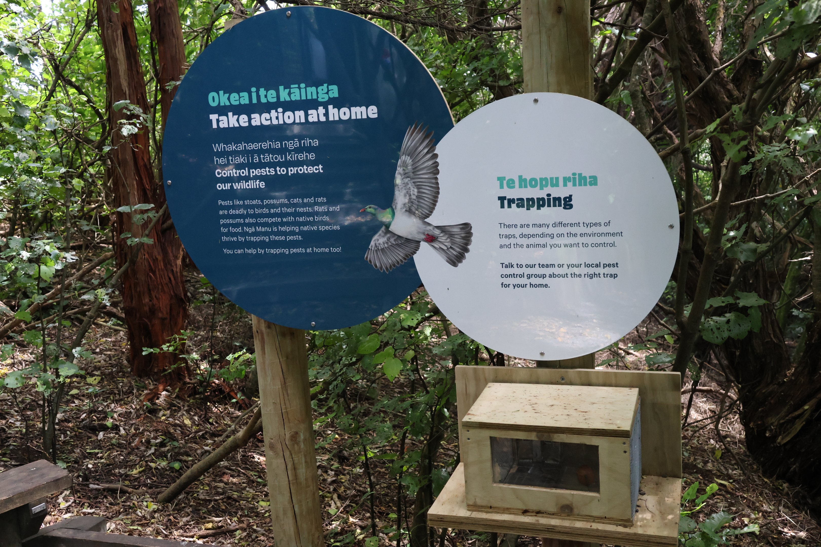 New signage for wild Kererū