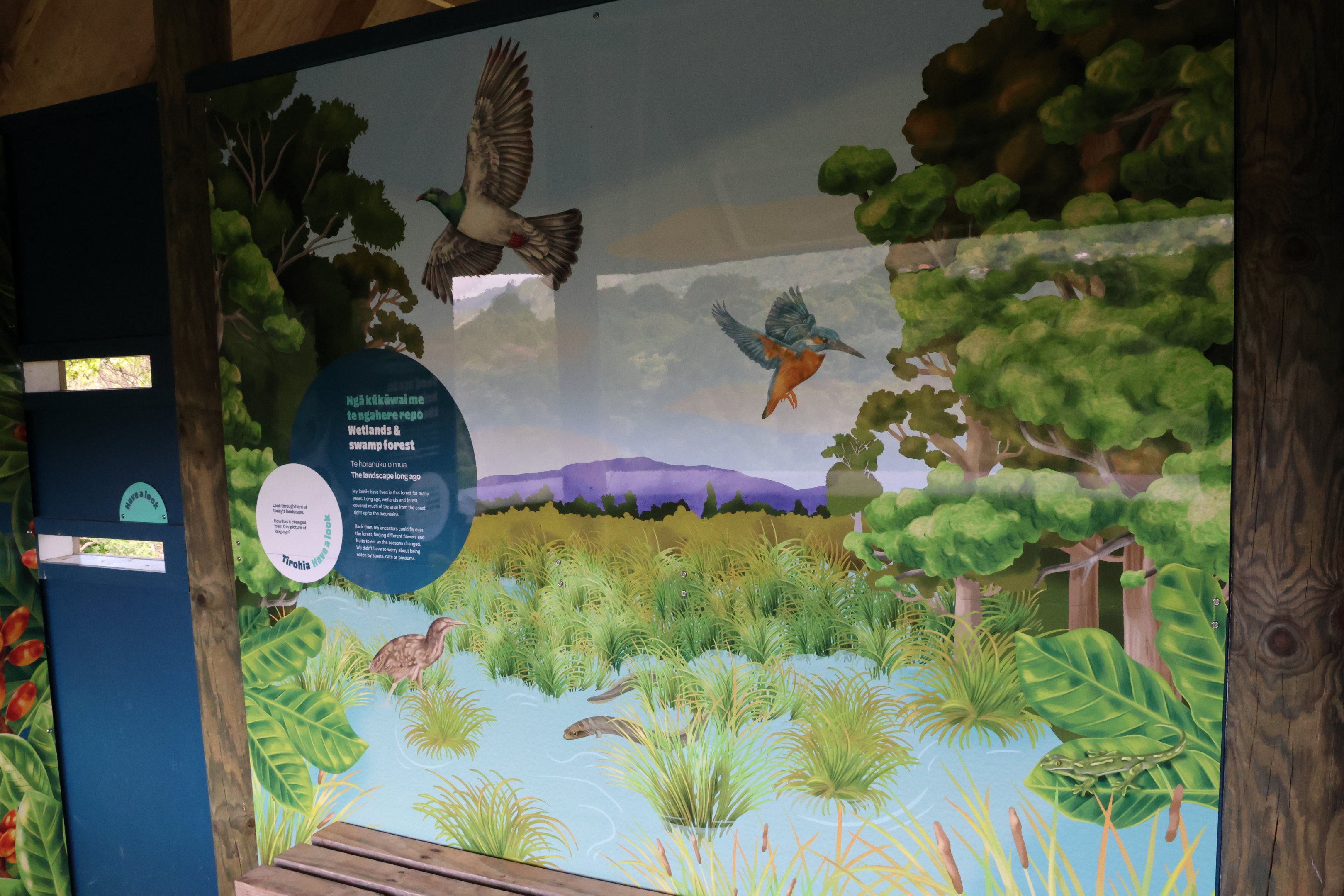 New signage for wild Kererū