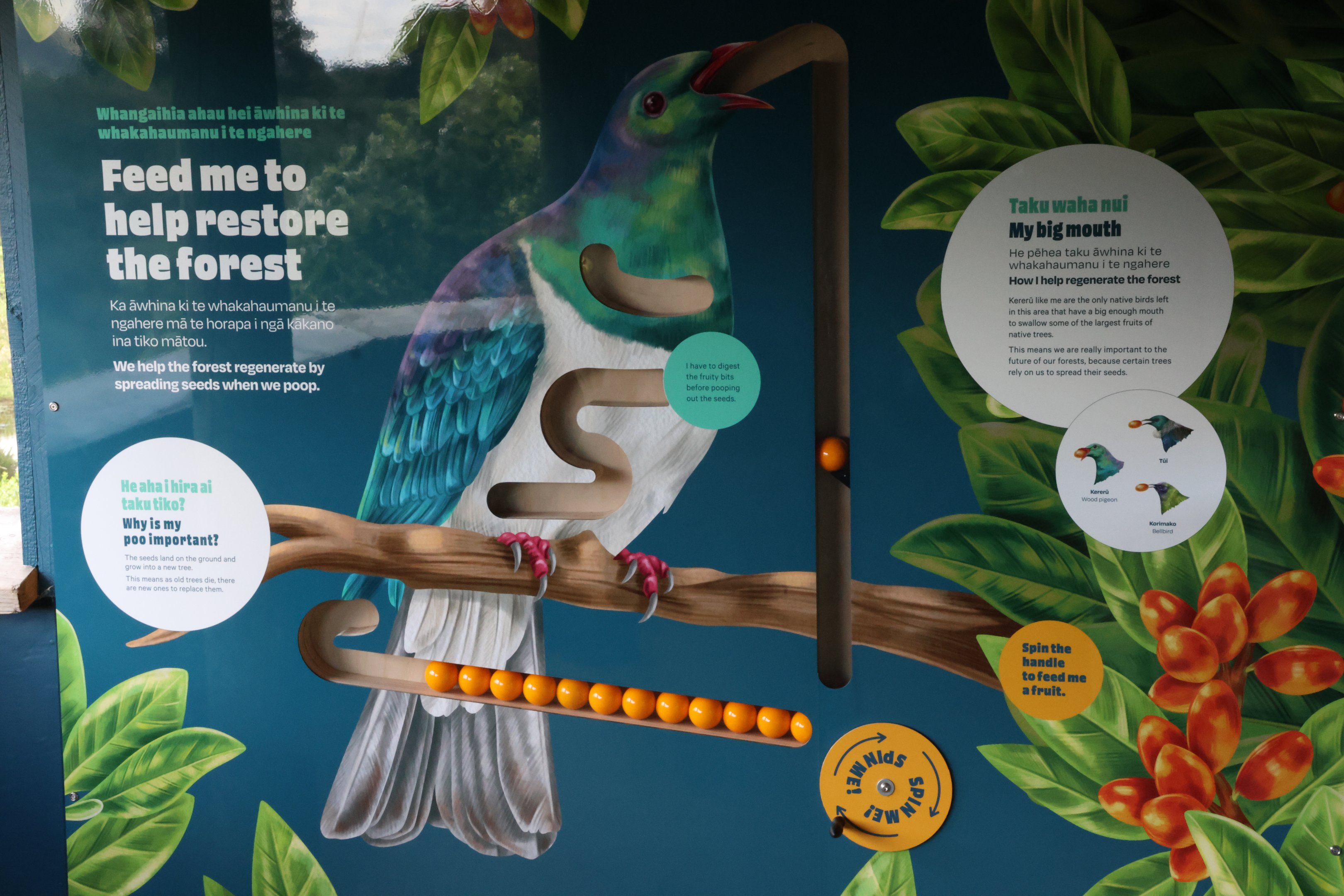 New signage for wild Kererū