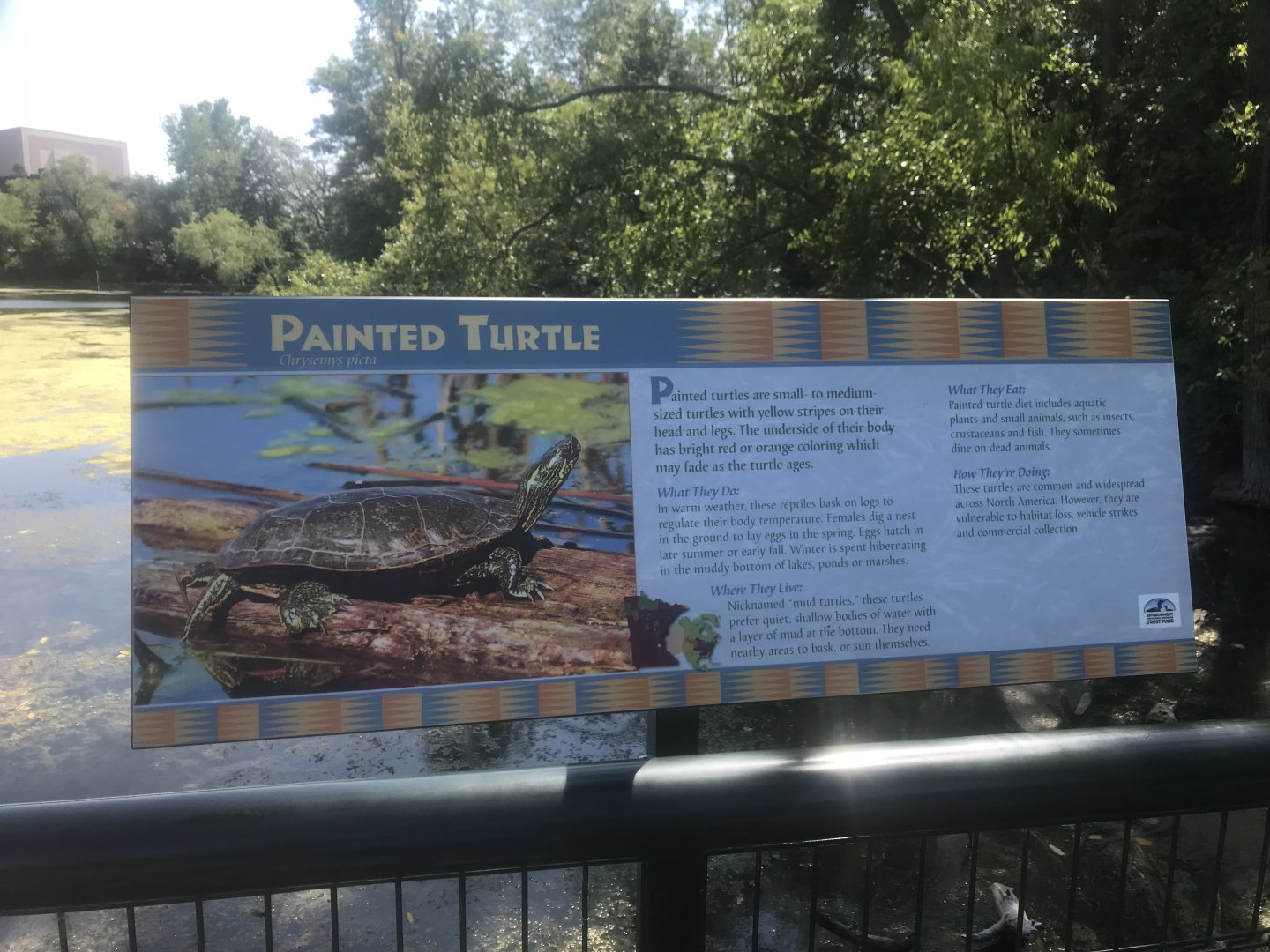 New Signage for Wild Painted Turtles